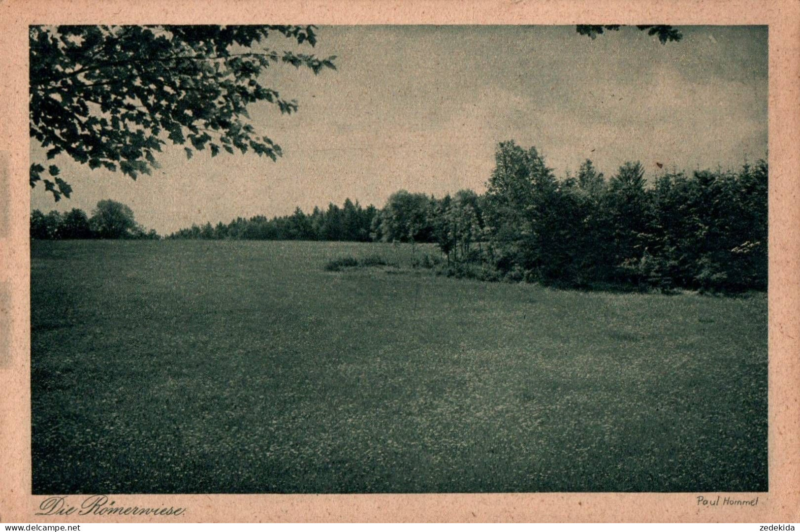 H1400 - Hommel Paul Foto Künstlerkarte - Die Römerwiese - Verlag J.F. Steinkopf Stuttgart - Andere & Zonder Classificatie