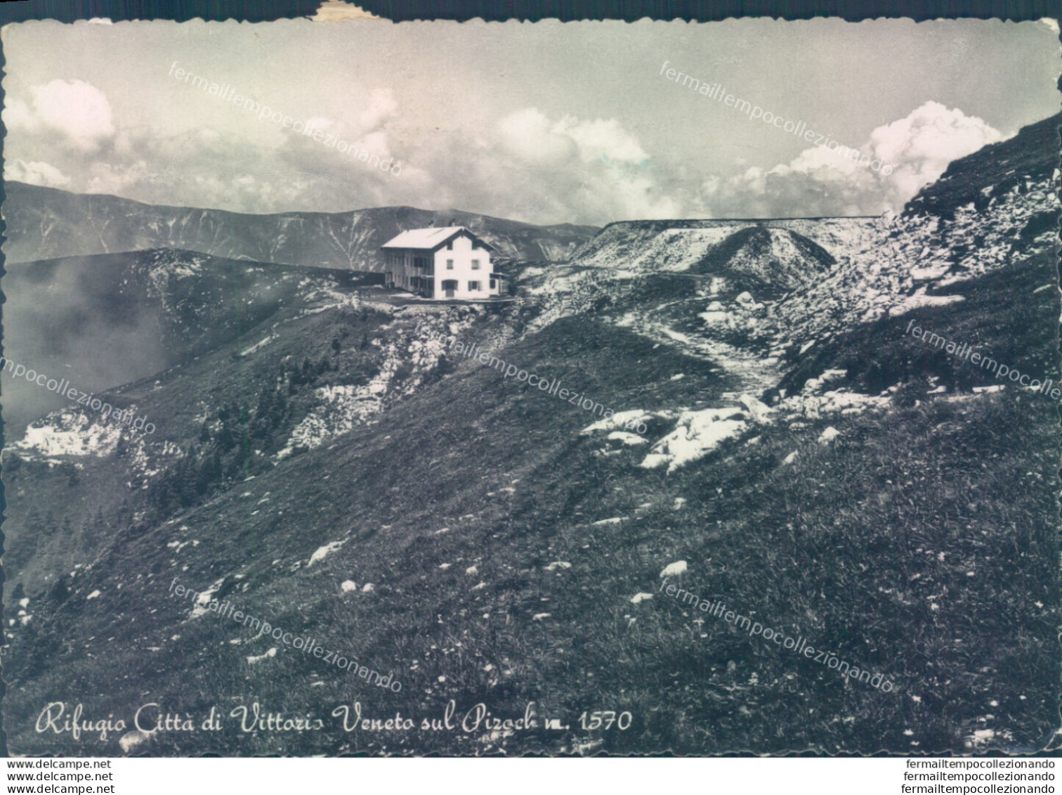 V217 Cartolina Rifugio Citta' Di Vittorio Veneto Sul Pizoch Tassata Treviso - Treviso