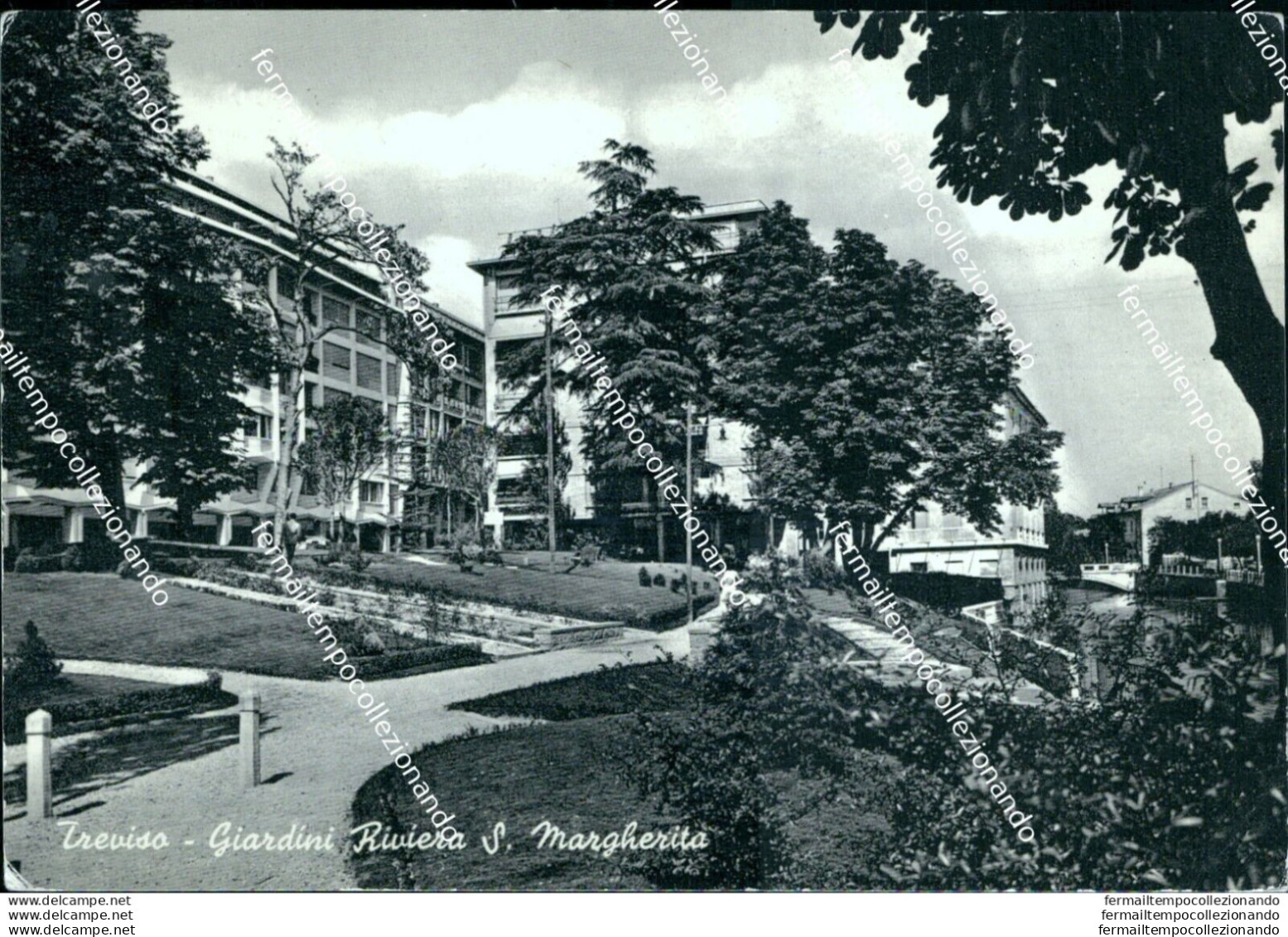 Bl382  Cartolina Treviso Citta' Giardini Riviera S.margherita - Treviso