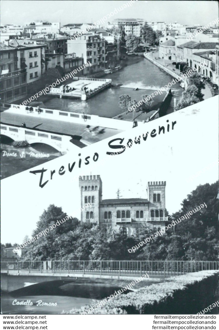 Br265 Cartolina Treviso Citta' Souvenir Veneto - Treviso