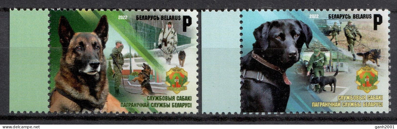 Belarus 2022 Bielorrusia / Dogs MNH Hunde Perros Chiens / Cu22438  40-47 - Honden