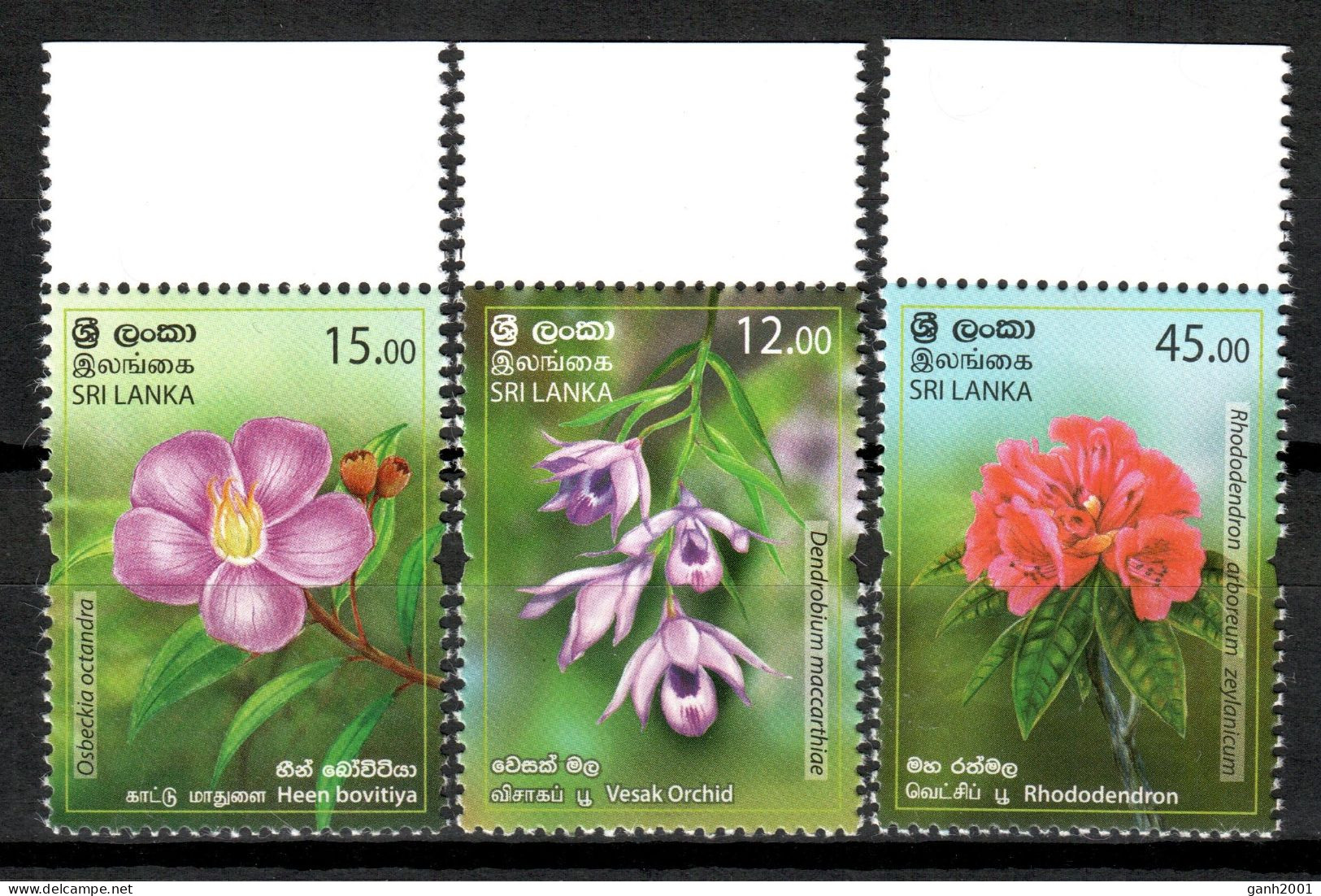 Sri Lanka 2019 Ceylán / Flowers MNH Flores Fleurs Blumen / Cu19904  7-2 - Sonstige & Ohne Zuordnung