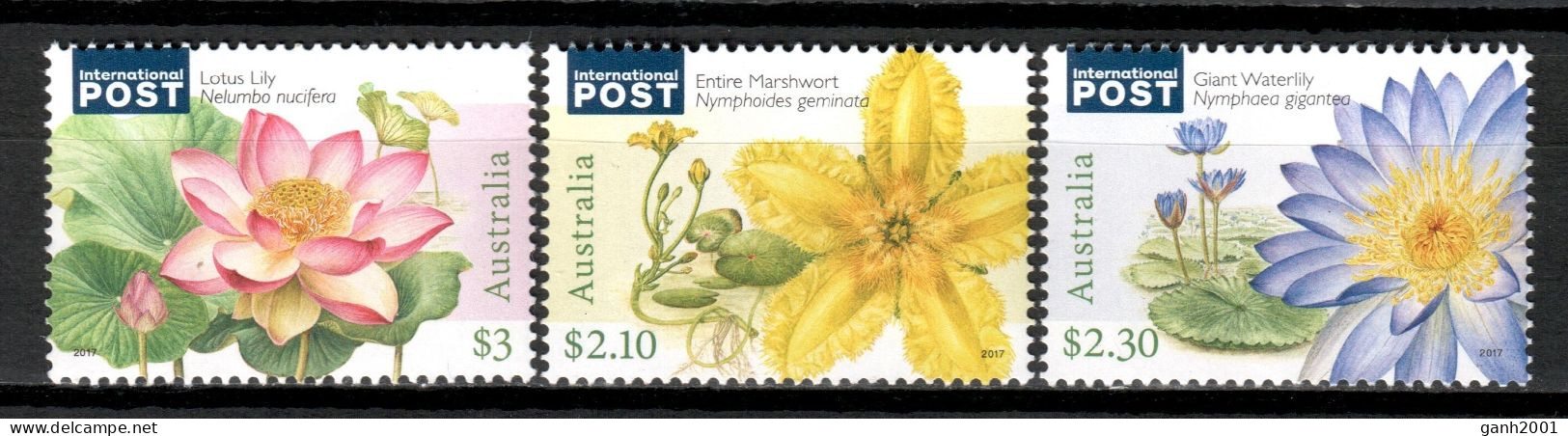 Australia 2017 / Flowers MNH Flores Blumen Fleurs / In51  29-21 - Rose