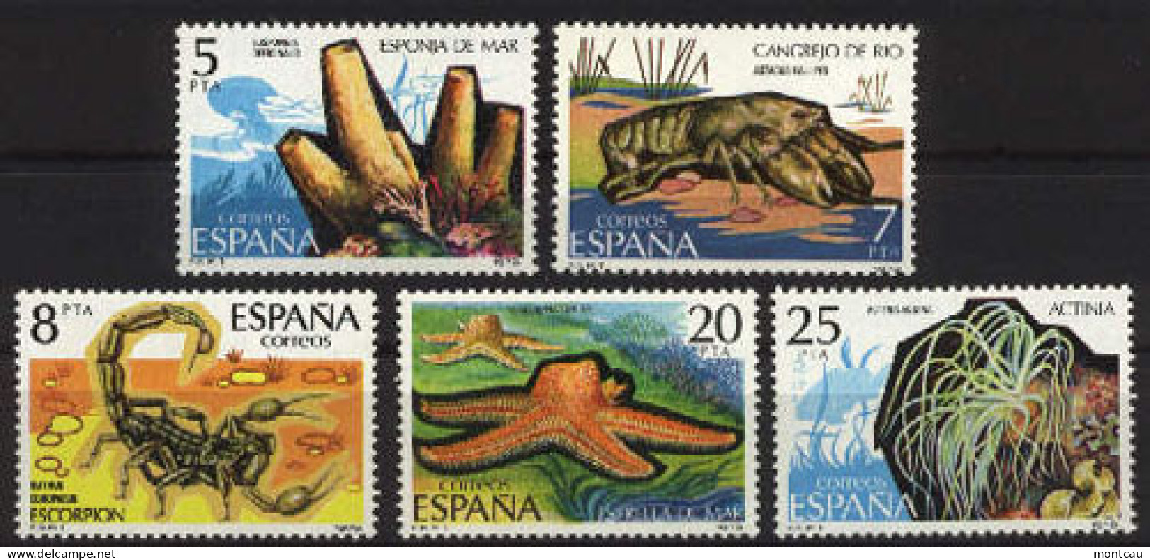 Spain. 1979. Invertebrados Ed 2531-35 (**) - Schalentiere