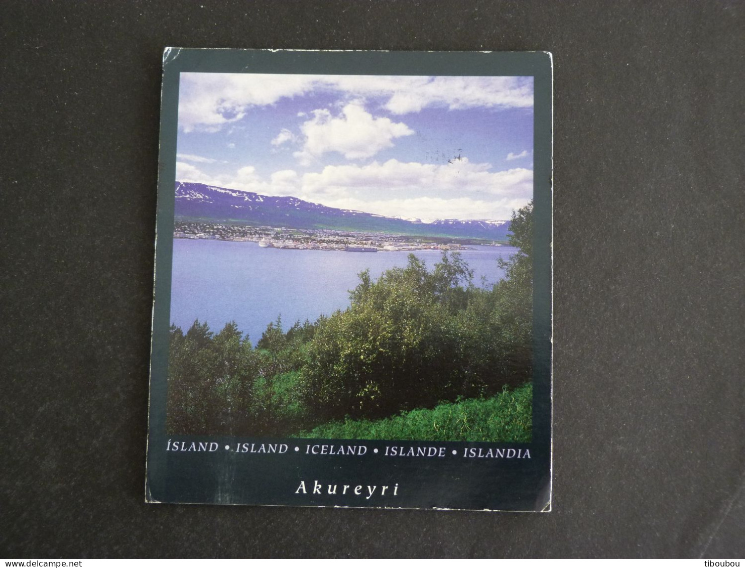 ISLANDE ISLAND ICELAND AVEC YT 915C CHEVAL BROKK HORSE PFERD - AKUREYRI - Cartas & Documentos