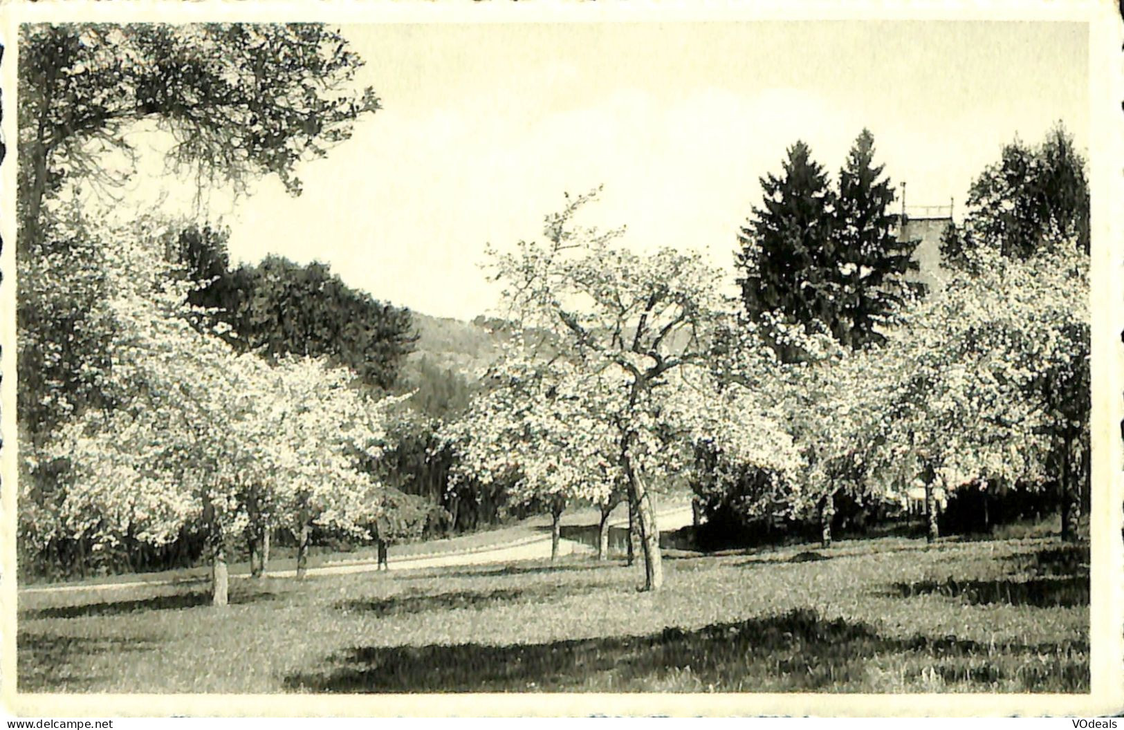 Belgique - Namur - Godinne-sur-Meuse - Accueil Ste-Dorothée - Les Pommiers En Fleurs - Yvoir