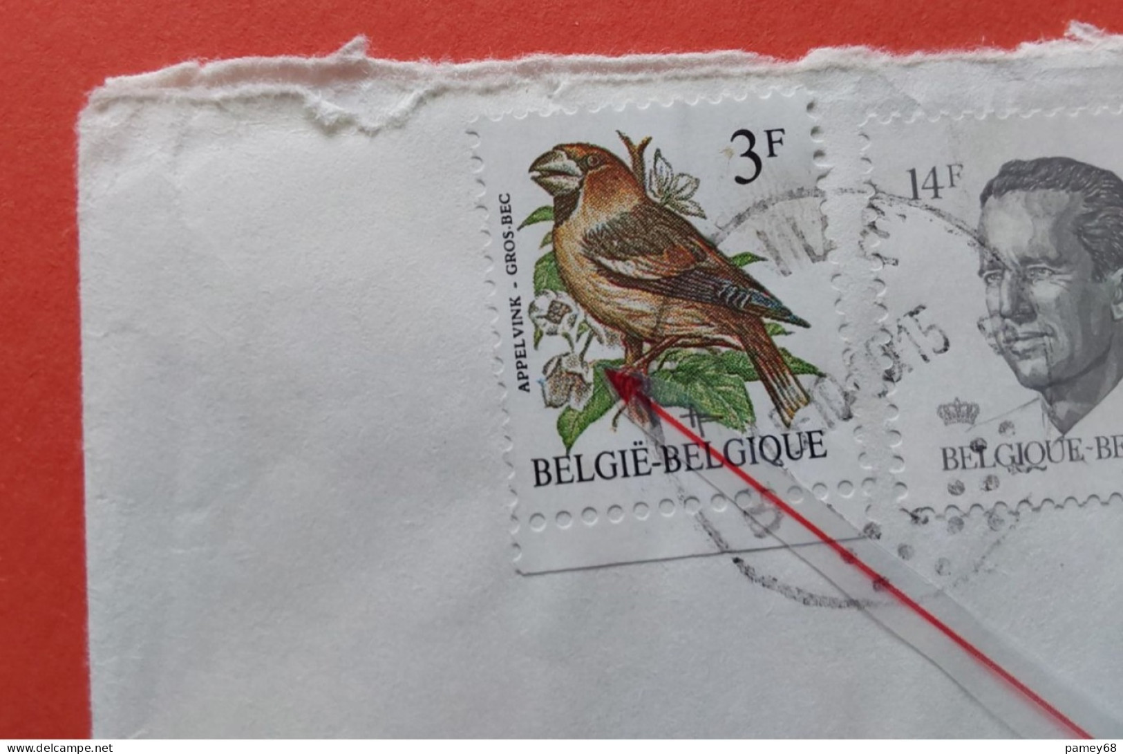 Oiseaux De Buzin Variété épine Rouge Timbre Gros Bec Sur Lettre Recommandé. - 1985-.. Pájaros (Buzin)