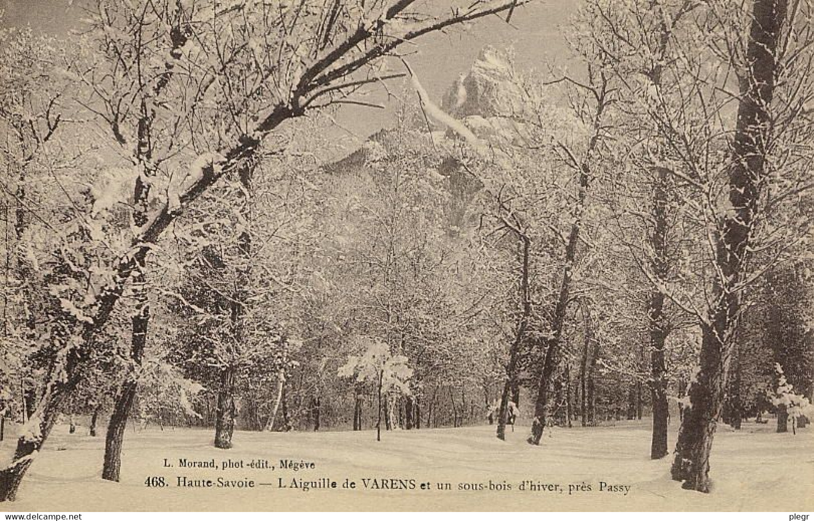 0-74208 01 01 - L'AIGUILLE DE VARENS ET UN SOUS BOIS D'HIVER, PRES PASSY - Passy