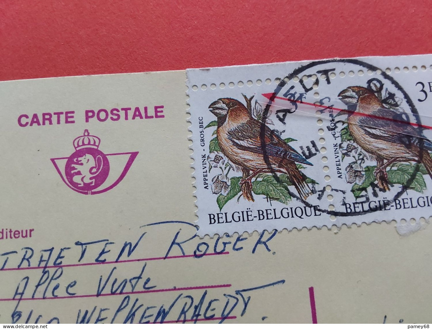 Oiseaux De Buzin Variété Point Rouge Timbre Gros Bec Sur Entier Illustré - 1985-.. Pájaros (Buzin)