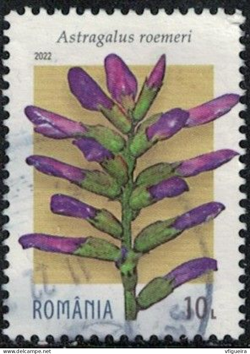 Roumanie 2022 Oblitéré Used Fleur Plante Astragalus Roemeri Y&T RO 6914 SU - Used Stamps