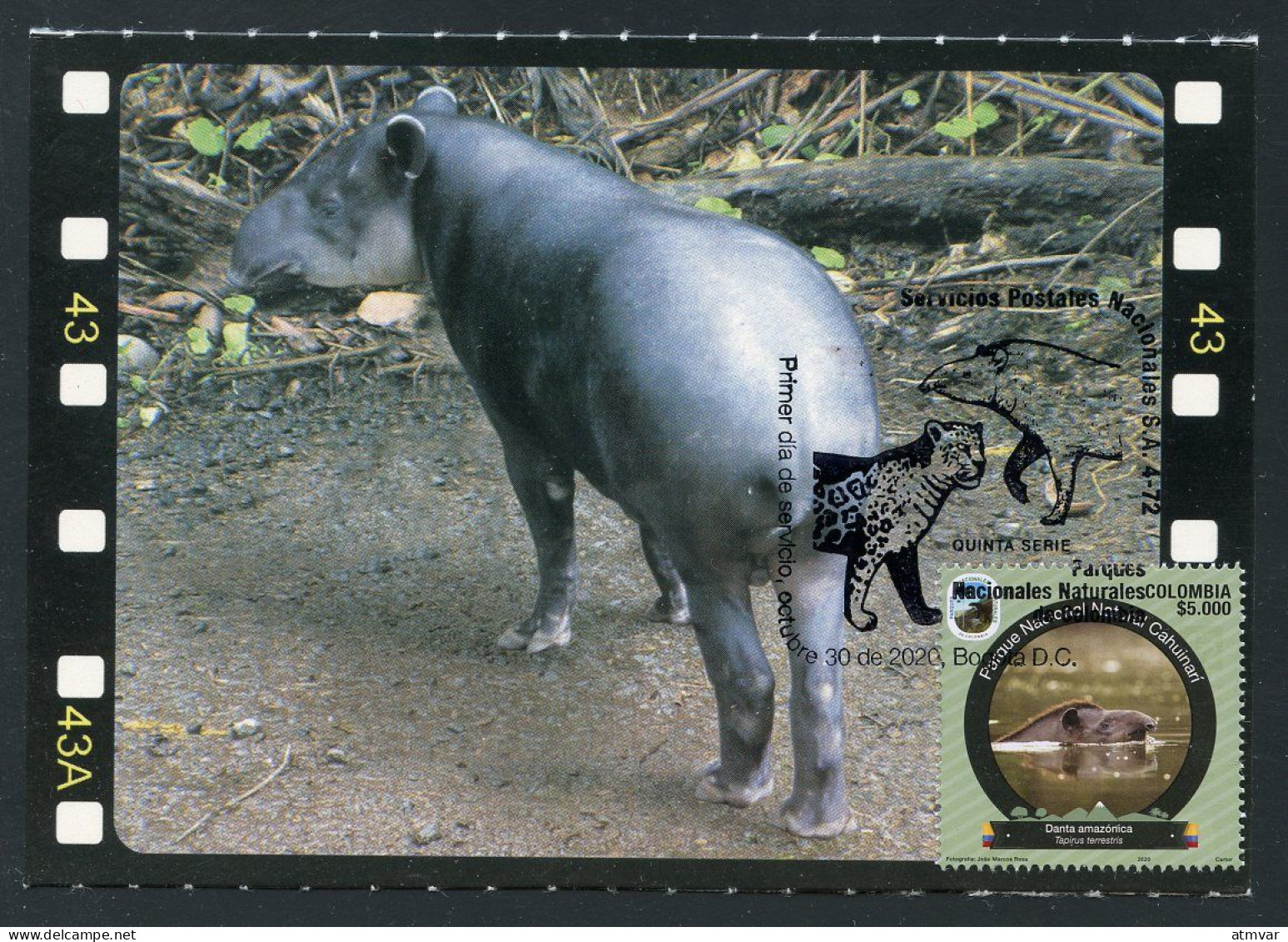 COLOMBIA (2020) Carte Maximum Card - Parque Nacional Natural Cahuinari, Danta Amazónica, Tapirus Terrestris, Tapir - Colombie