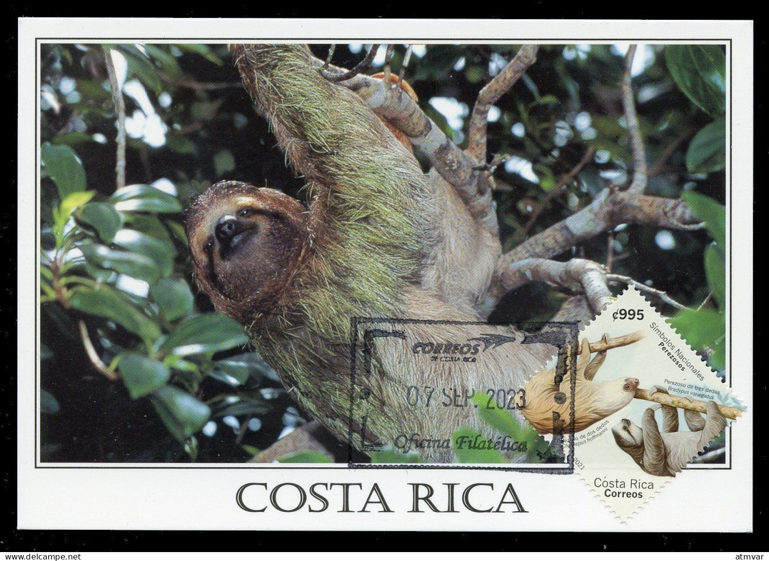 COSTA RICA (2021) Símbolos Nacionales, Perezosos, Bradypus Variegatus, Paresseux, Three Toed Sloth - Carte Maximum Card - Costa Rica