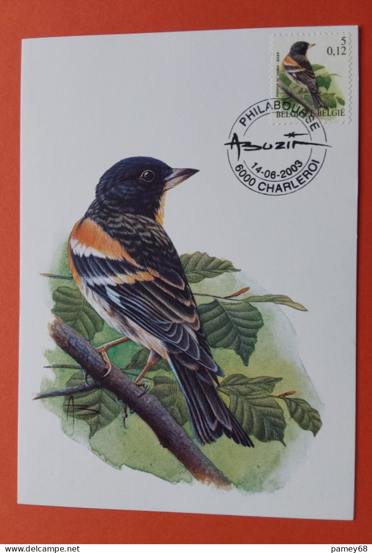 Carte Maximum Oiseaux De Buzin Pinson Du Nord 14.06.2003 - 1985-.. Oiseaux (Buzin)