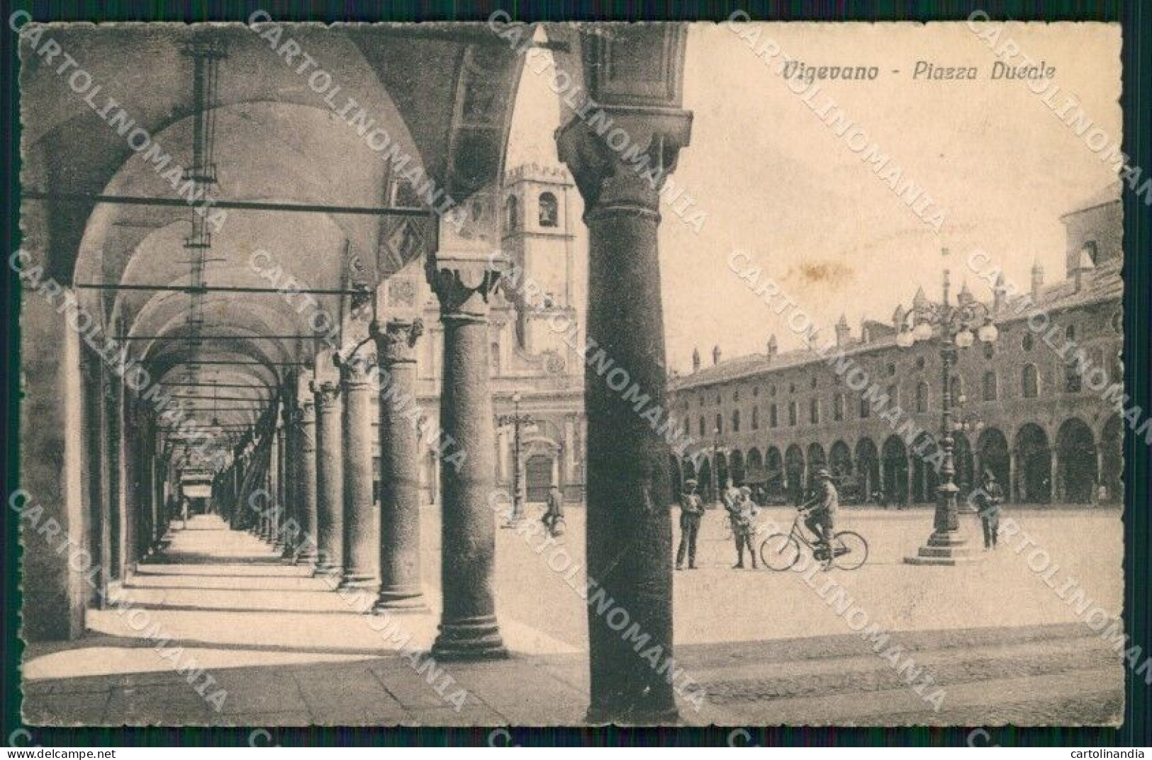 Pavia Vigevano Cartolina KF2377 - Pavia