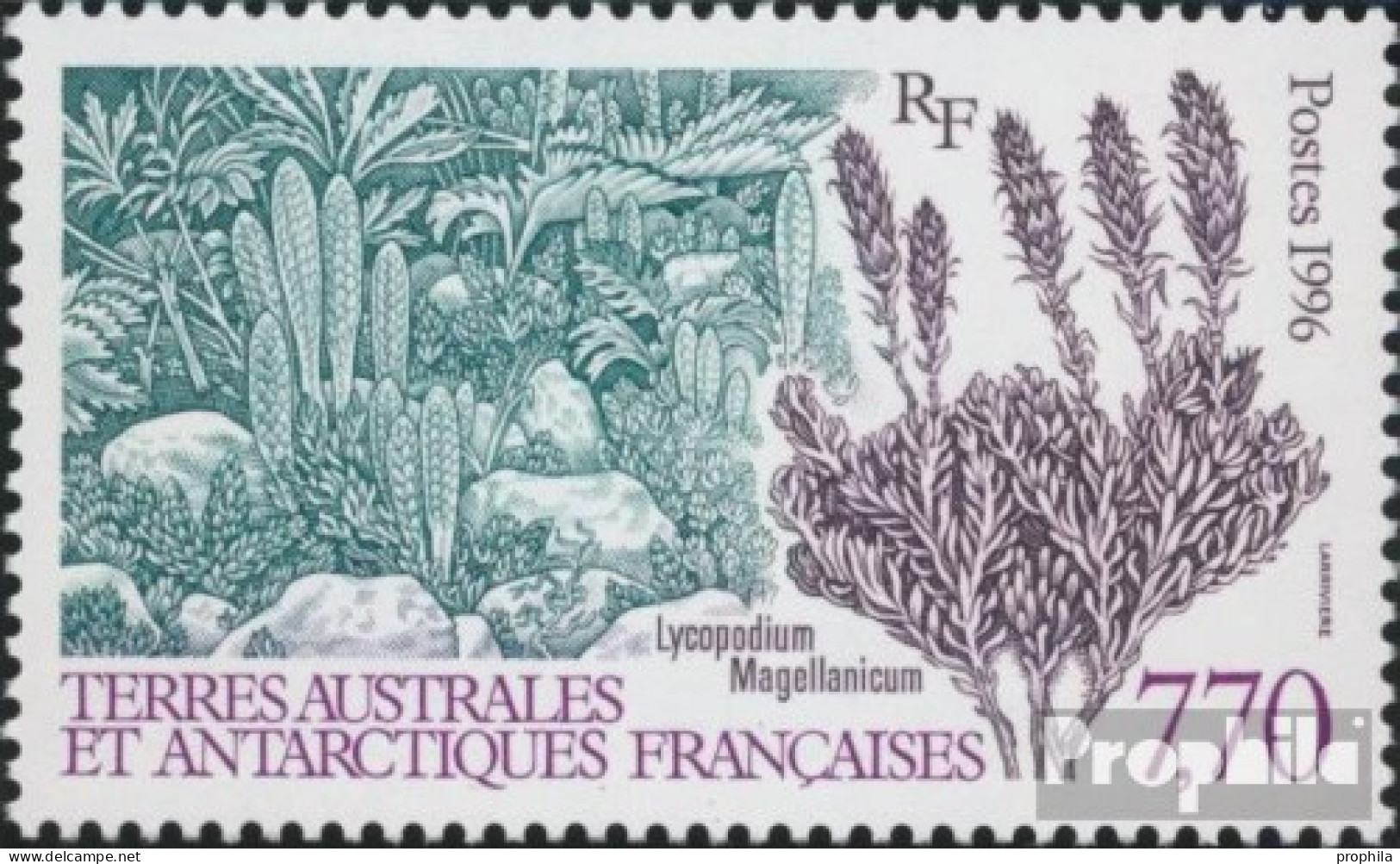 Französ. Gebiete Antarktis 347 (kompl.Ausg.) Postfrisch 1996 Pflanzen Der Antarktis - Neufs