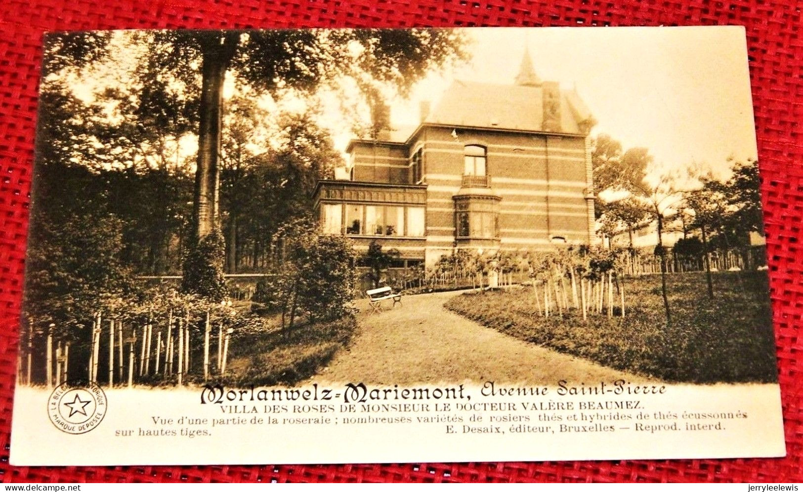 MORLANWELZ- MARIEMONT - Villa Des Roses De M. Le Docteur Valère Beaumez,  Roseraie  , Avenue St-Pierre - Morlanwelz