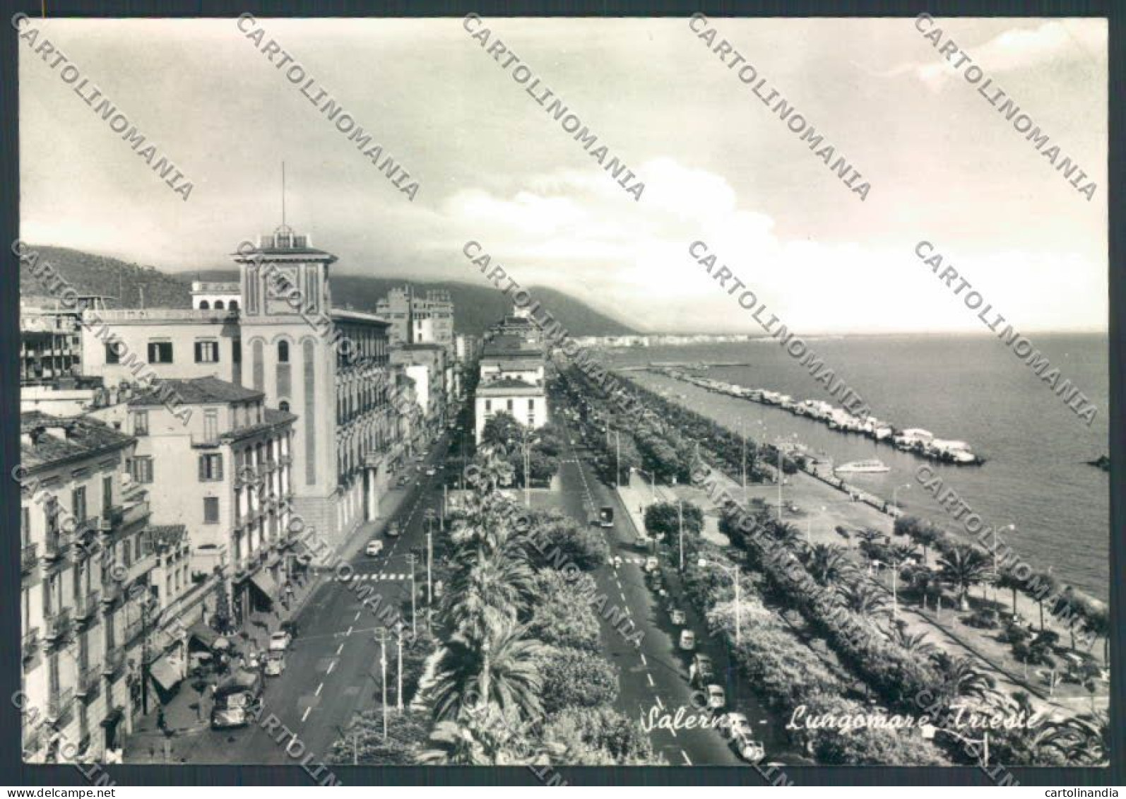 Salerno Città Foto FG Cartolina ZF8256 - Salerno