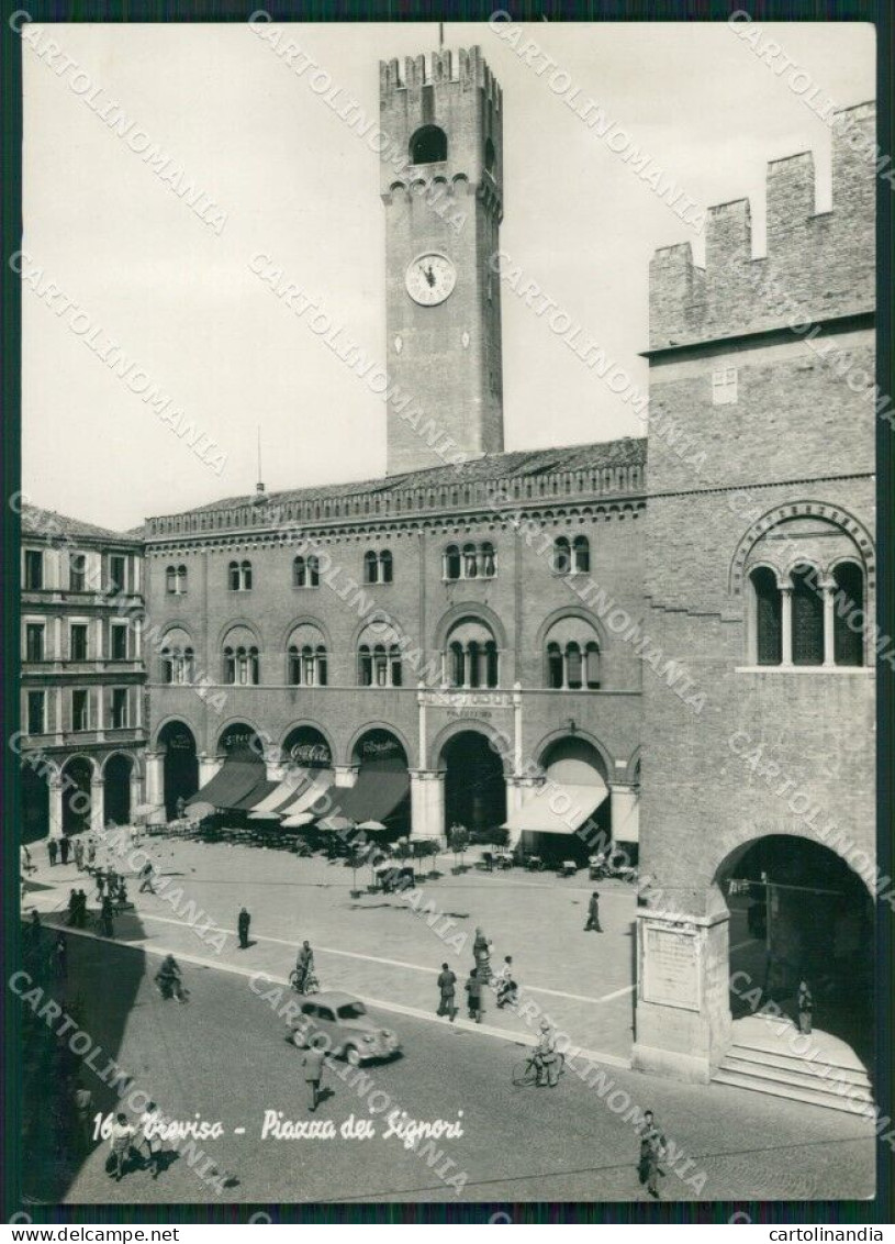 Treviso Città Auto Foto FG Cartolina ZKM7161 - Treviso