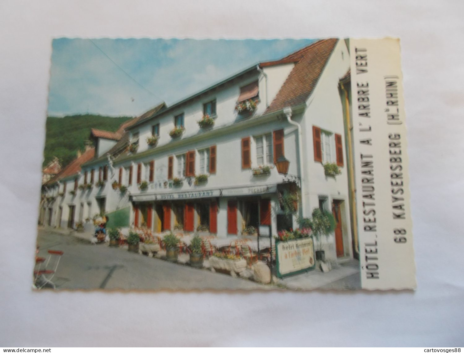 KAYSERSBERG ( 68 Haut Rhin ) HOTEL RESTAURANT A L ARBRE VERT VUE GENERALE DEVANTURE A.KIENTY Proprietaire - Kaysersberg