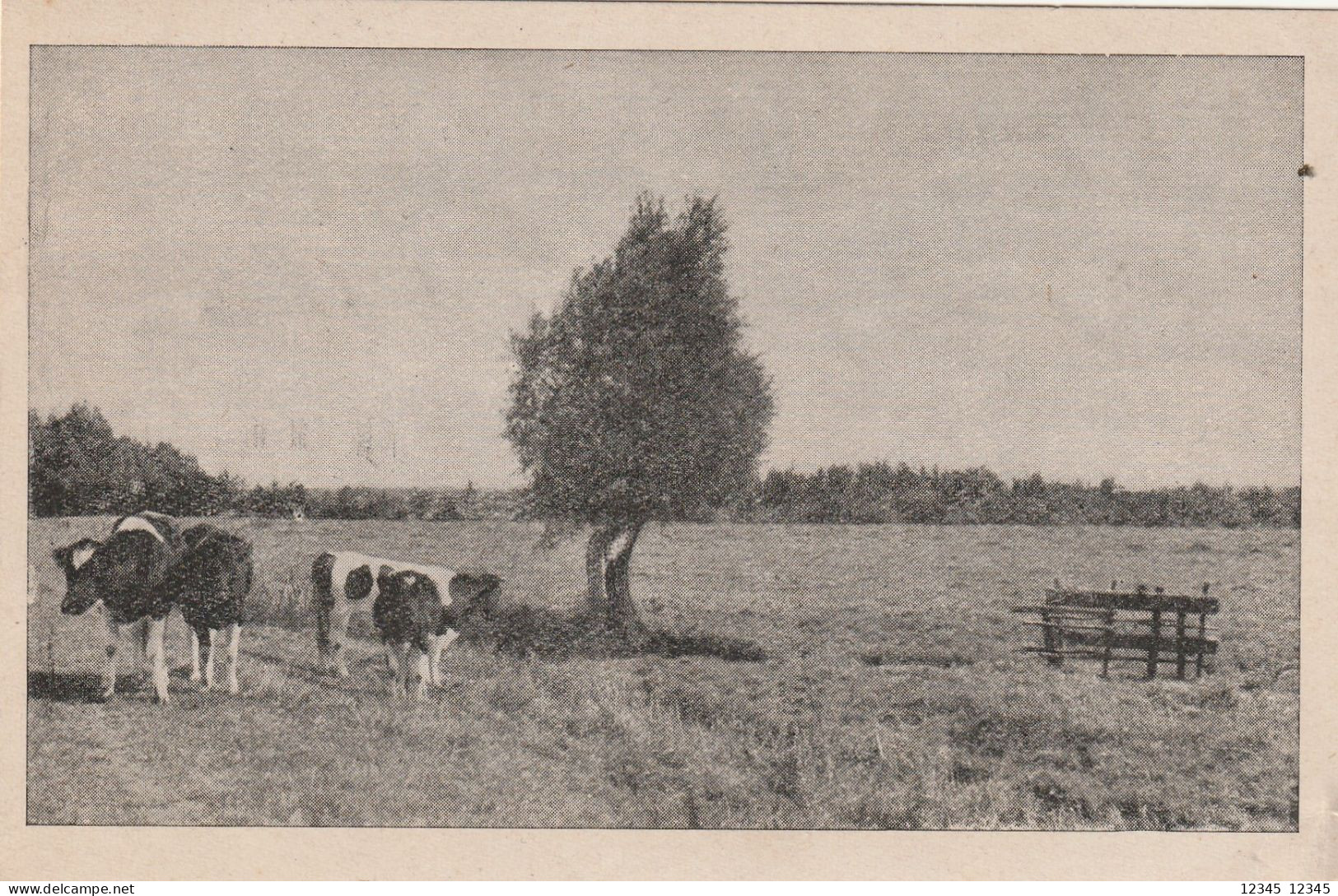 Attendorn 1944 - Attendorn