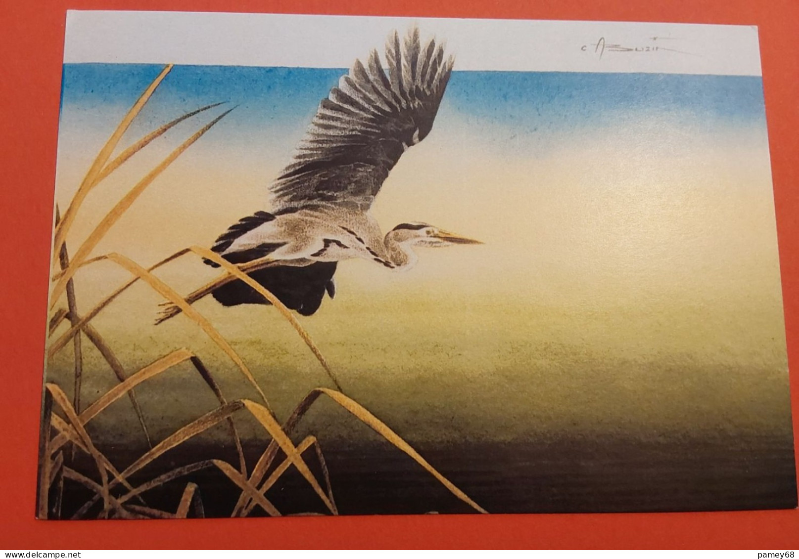 Carte Souvenir Oiseaux De Buzin Vœux De Fin D’année A.B.C. Philatelie 2008 Le Héron Cendré. - 1985-.. Birds (Buzin)