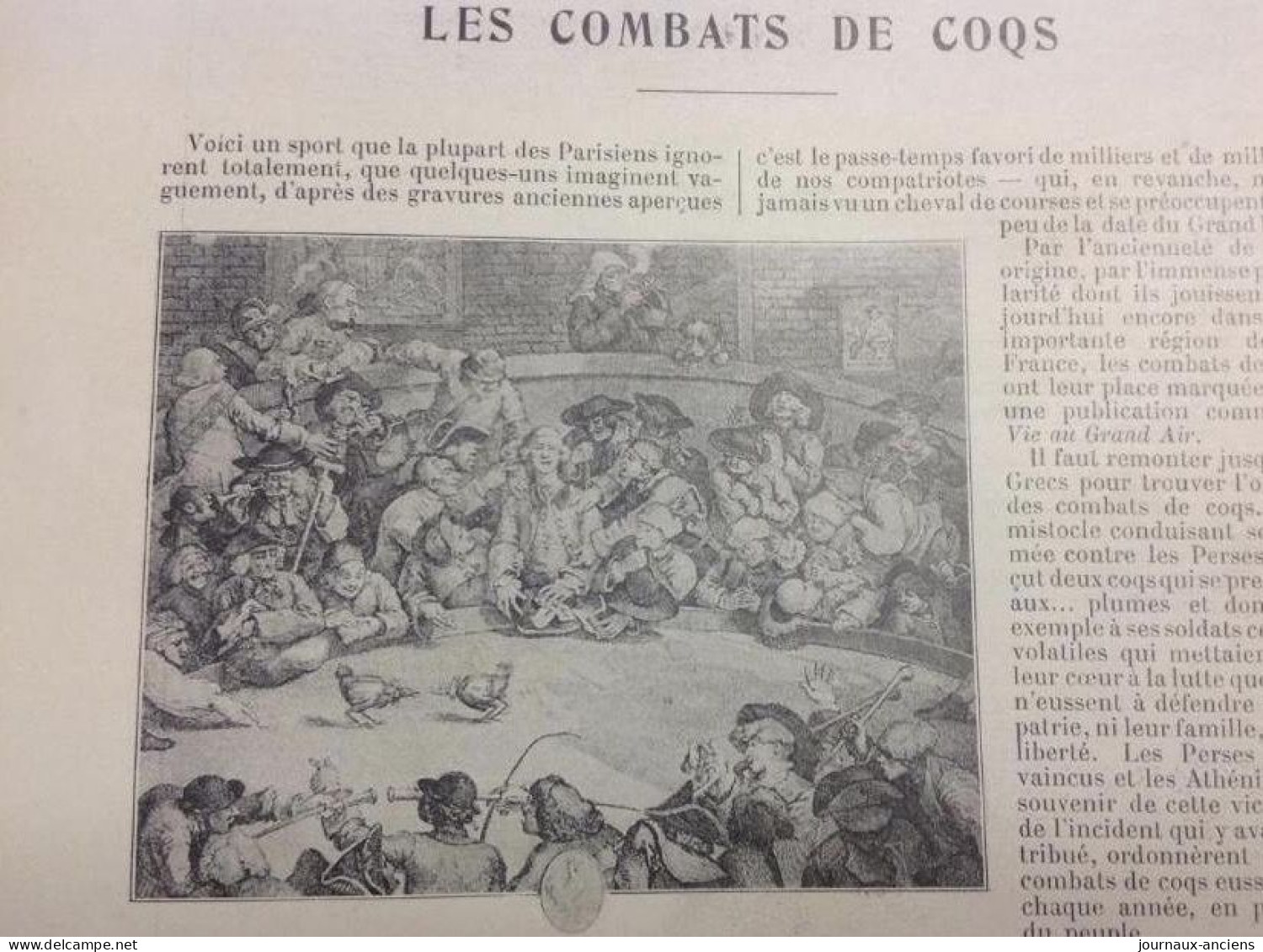 1898 LES COMBATS DE COQS - REGION DU NORD - LILLE - ROUBAIX - TOURCOING - LA VIE AU GRAND AIR - 1900 - 1949