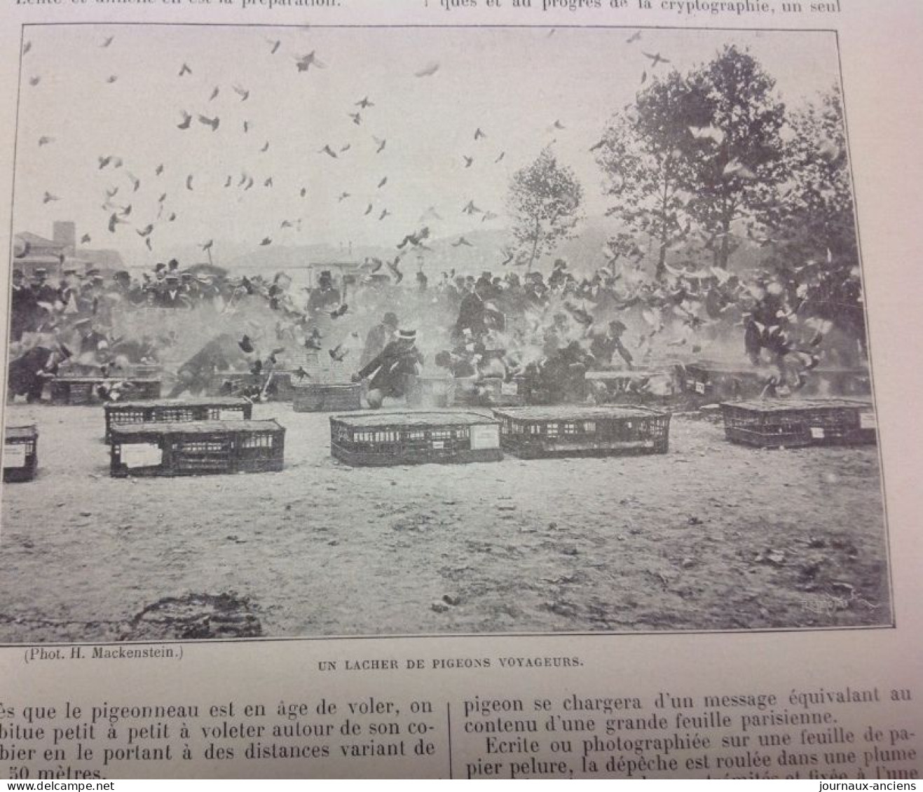 1898 COLOMBOPHILIE - SPORT ET PIGEONS - LACHER DE PIGEONS - LA VIE AU GRAND AIR - 1900 - 1949