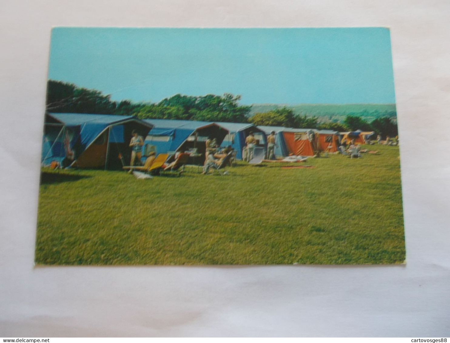 GRANGE FARM CENTRE CHIGWELL ( ENGLAND ANGLETERRE ) CAMPING SITE WITH EPPING FOREST IN THE BACKGROUND ANIMEES - Other & Unclassified