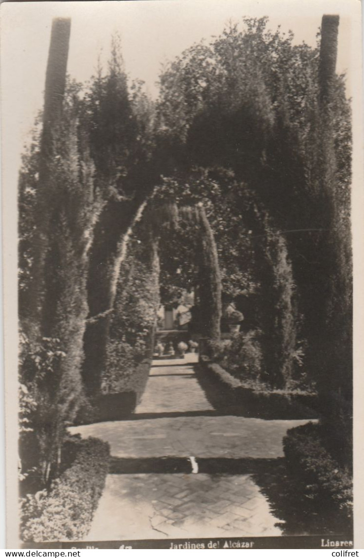 Andalucia - Sévilla  -  Jardines Del Alcazar - Sevilla