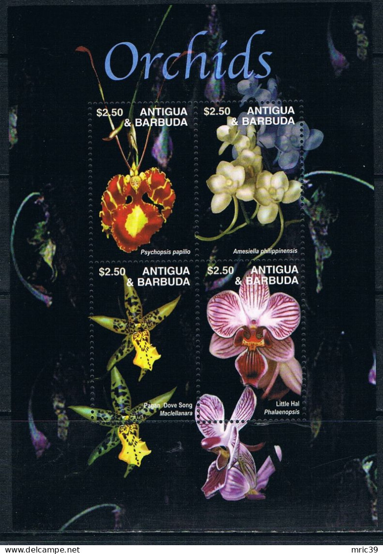 Bloc Sheet Fleurs Orchidées Flowers Orchids  Neuf  MNH **  Antigua & Barbuda 2003 - Orchidées