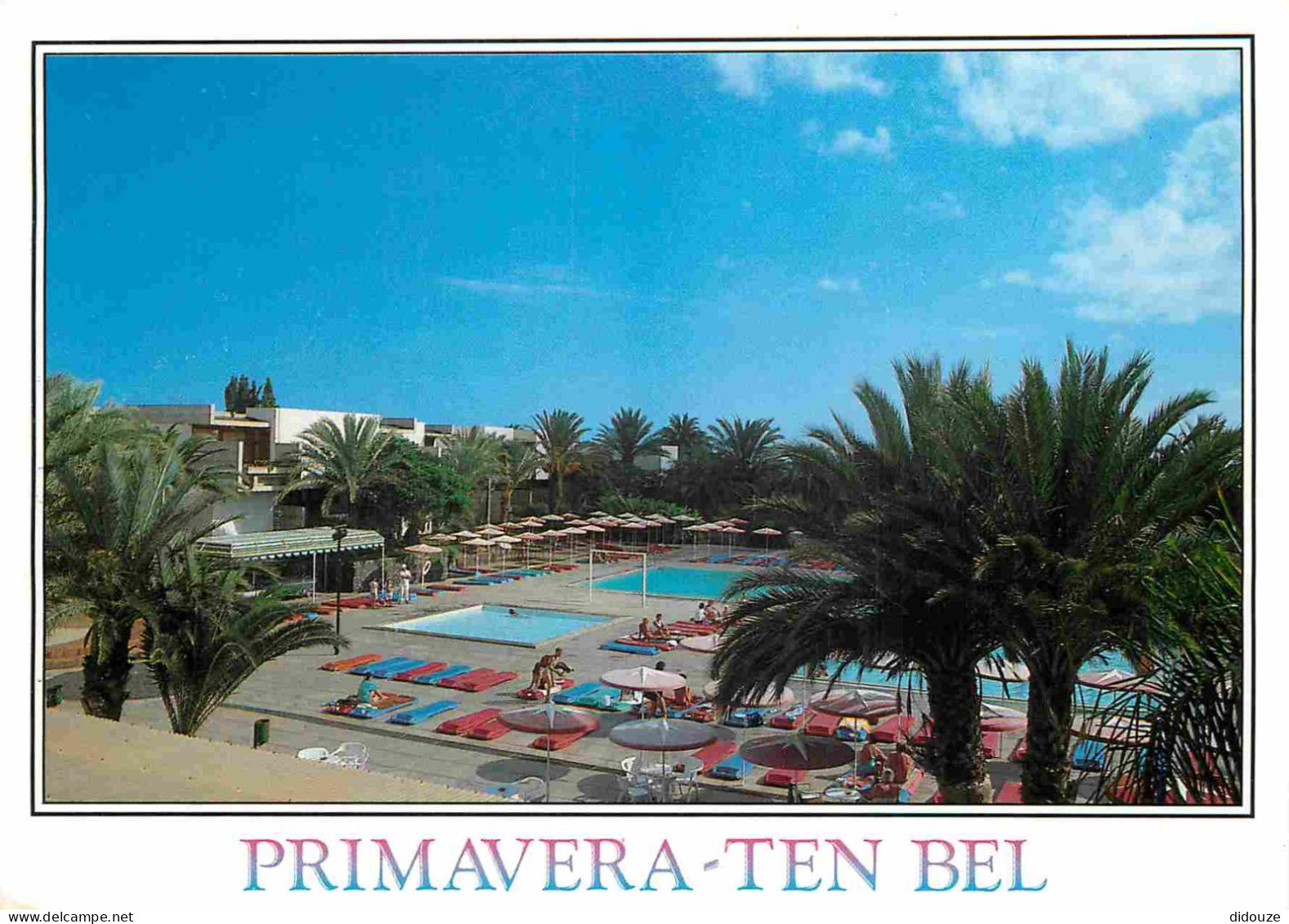 Espagne - Espana - Islas Canarias - Tenerife - Primavera Ten Bel - Piscine - CPM - Voir Scans Recto-Verso - Tenerife