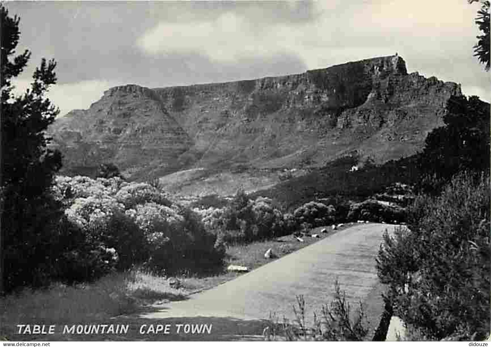 Afrique Du Sud - South Africa - Cape Town - Table Mountain Cape Town - Montagne De La Table - Carte Neuve - CPM - Voir S - South Africa