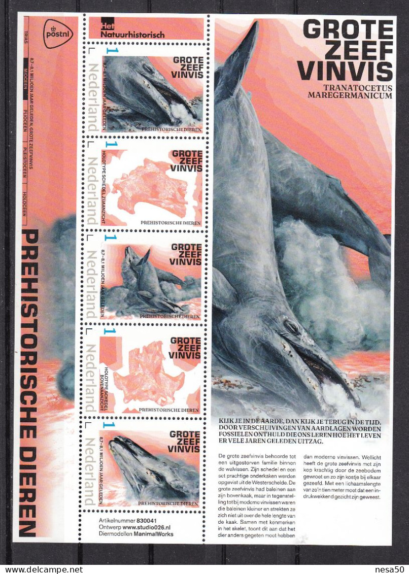 Nederland 2024 Persoonlijke Zegel: Prehistorie ,Grote Zeef Vinvis, Tranatocetus Maregermanicum - Unused Stamps