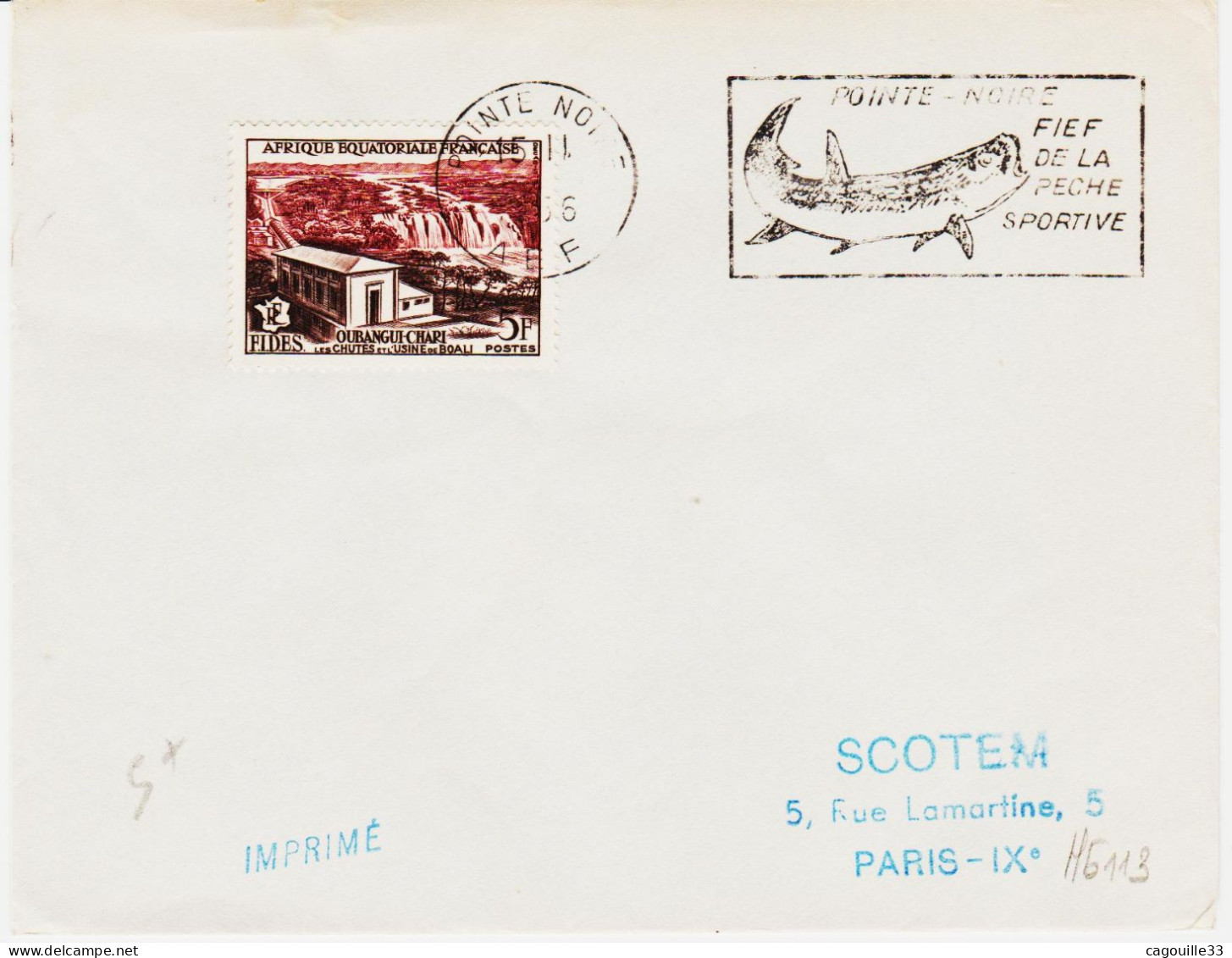 Congo  (aef )  De Pointe Noire En 1956, F( Poisson , Pêche Spotive  TB - Briefe U. Dokumente