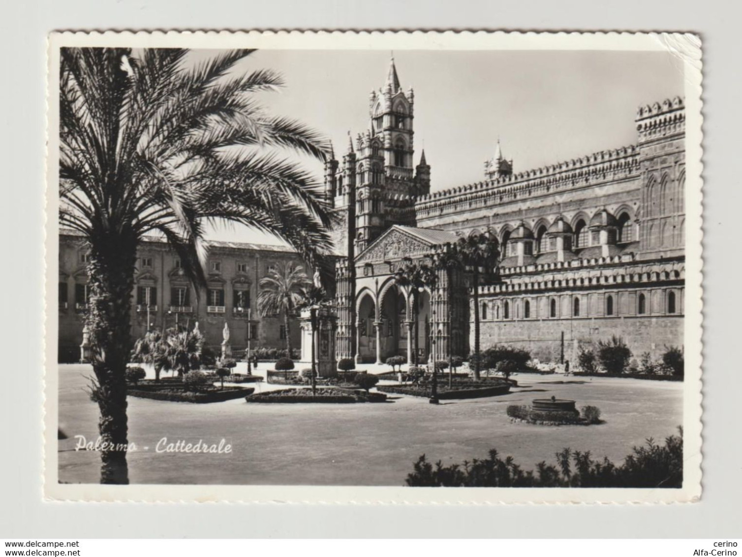 PALERMO:  LA  CATTEDRALE  -  PER  LA  SVIZZERA  -  FOTO  -  FG - Kirchen Und Klöster