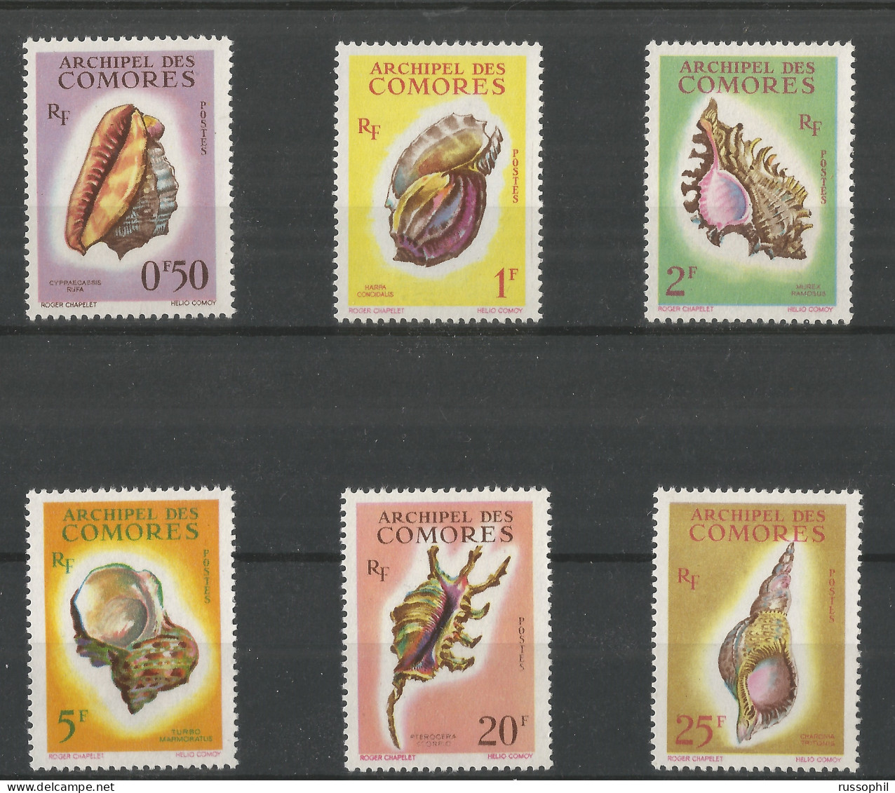 COMORES - COQUILLAGES -  SHELLFISH - Yv. #19 TO Yv. #24 -  (**/MNH) - 1962 - Ungebraucht