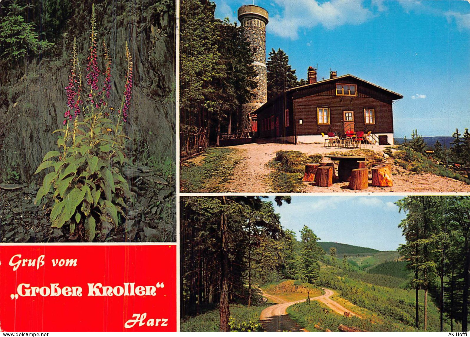 WANDERHÜTTE GROSSER KNOLLEN / Südharz  Landkreis Göttingen - Göttingen