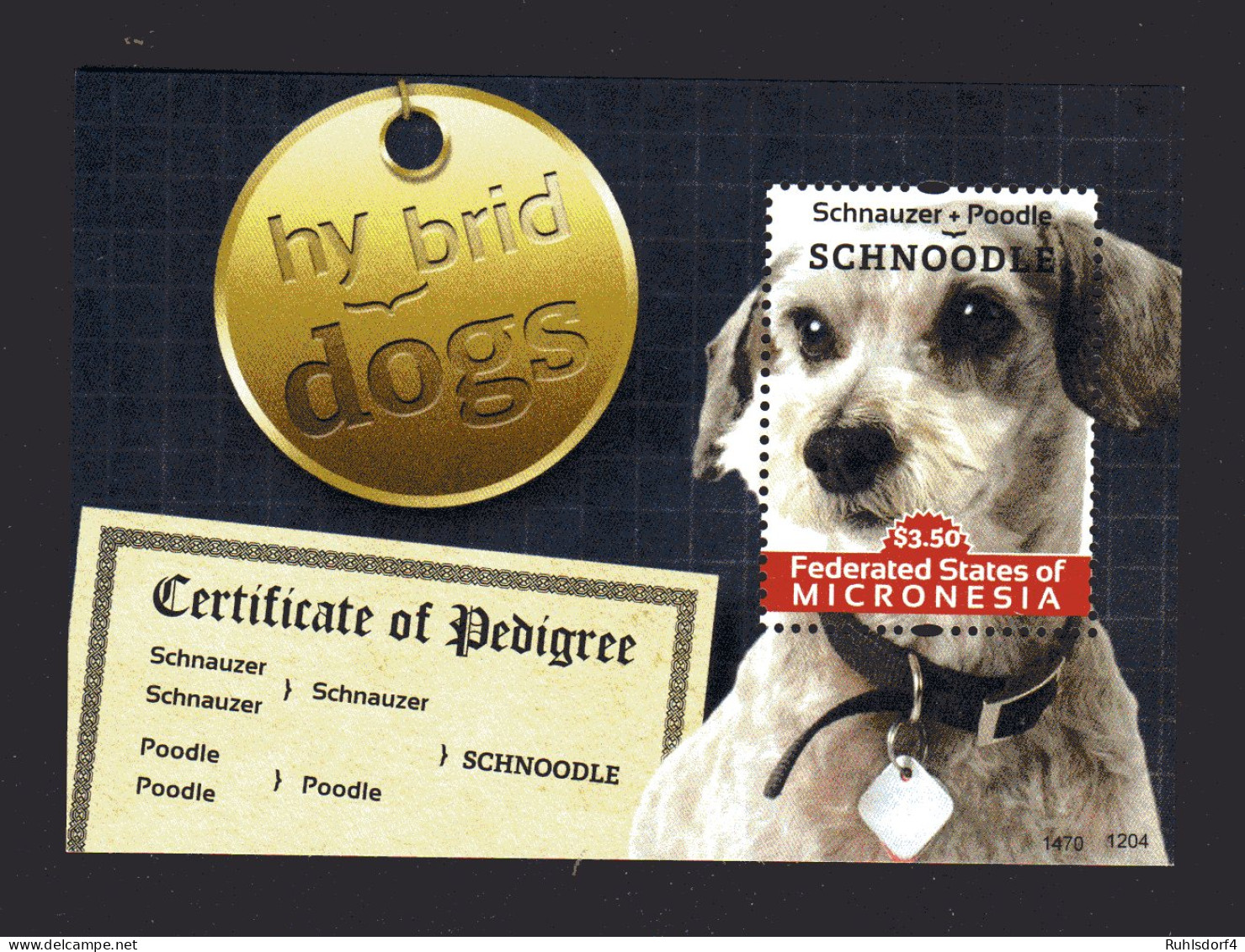 Guyana, Block Hunde - Chiens