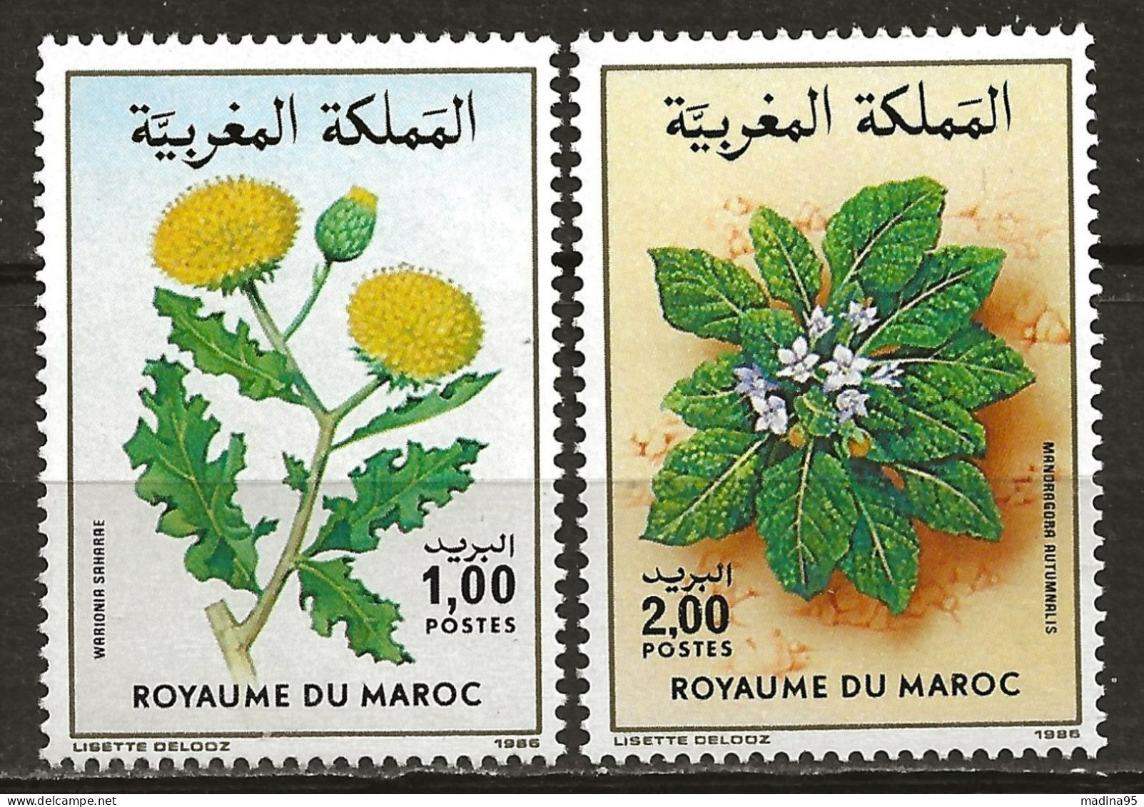 MAROC: **, N° YT 1008 Et 1009, TB - Marokko (1956-...)