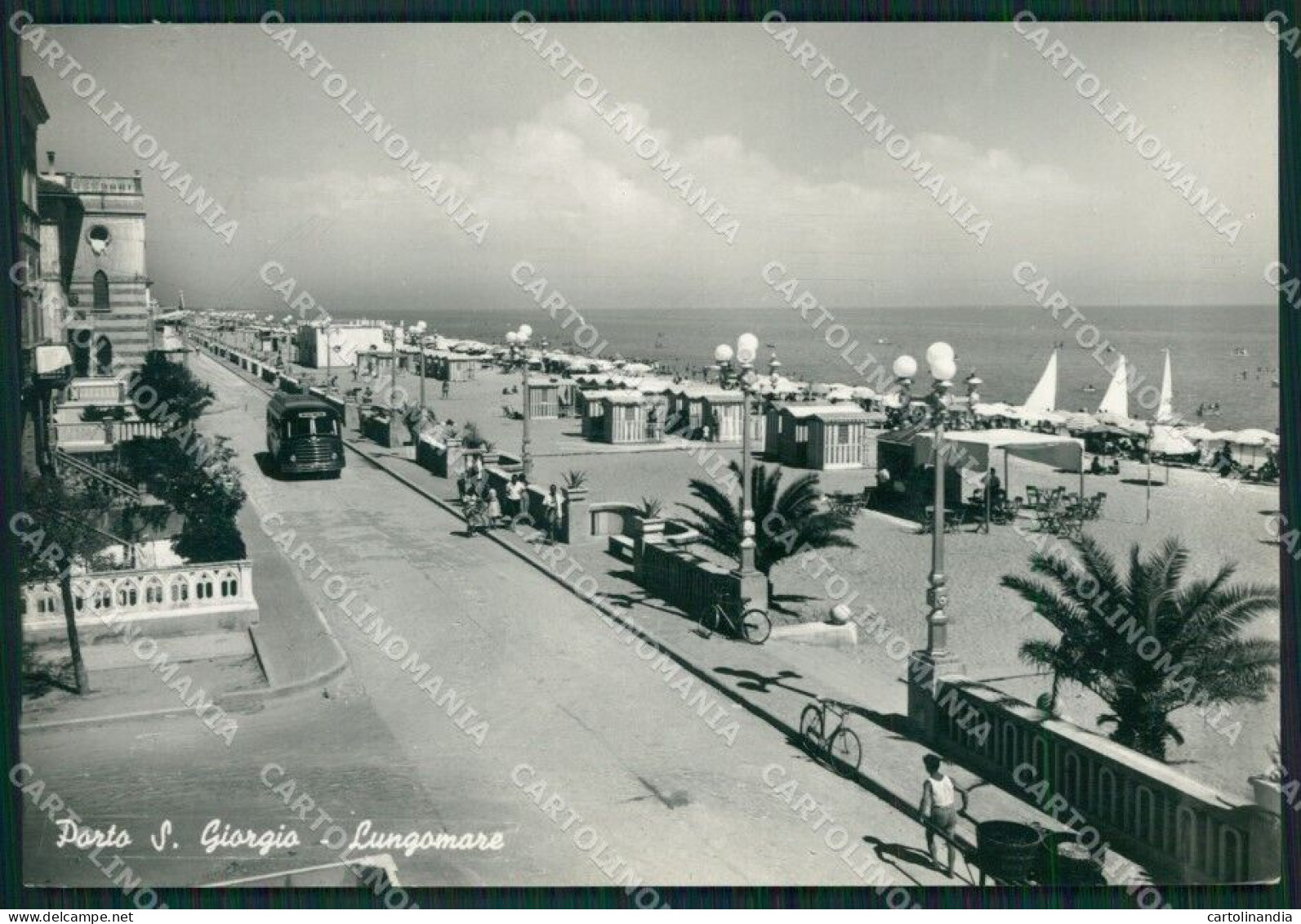 Ascoli Piceno Fermo Porto San Giorgio Foto FG Cartolina ZK1088 - Ascoli Piceno