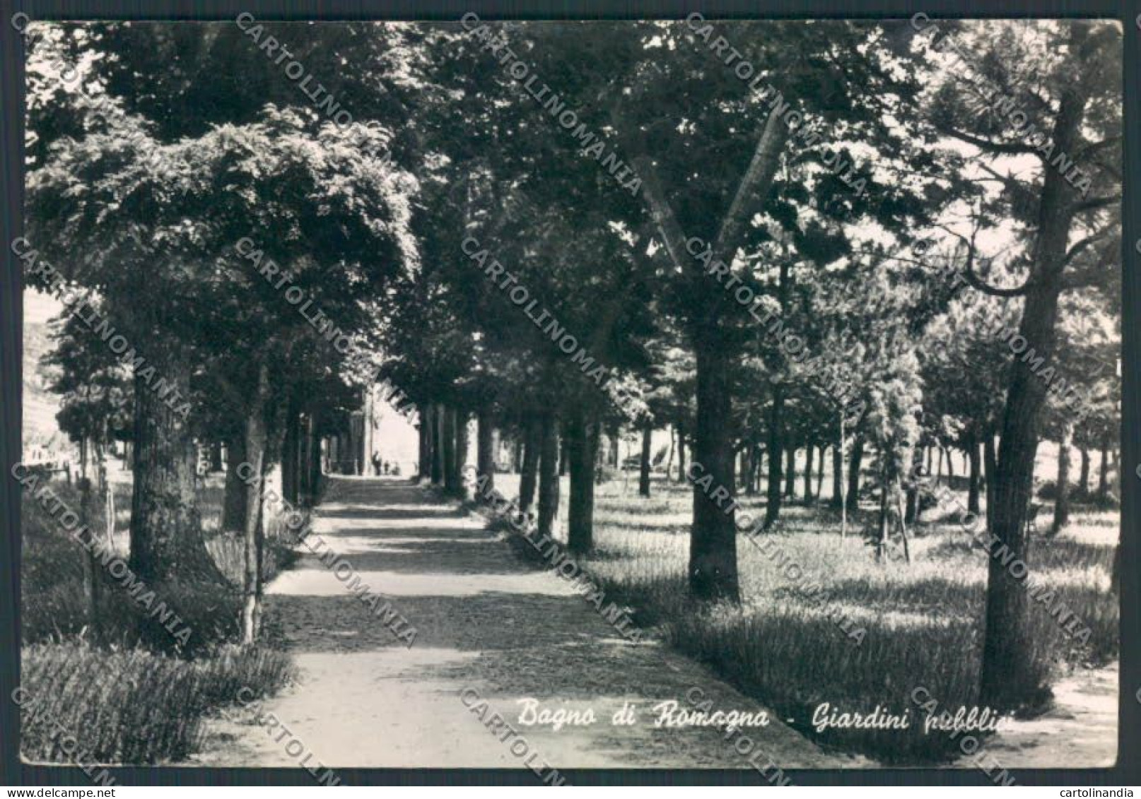 Forlì Bagno Di Romagna Foto FG Cartolina ZF5925 - Forlì