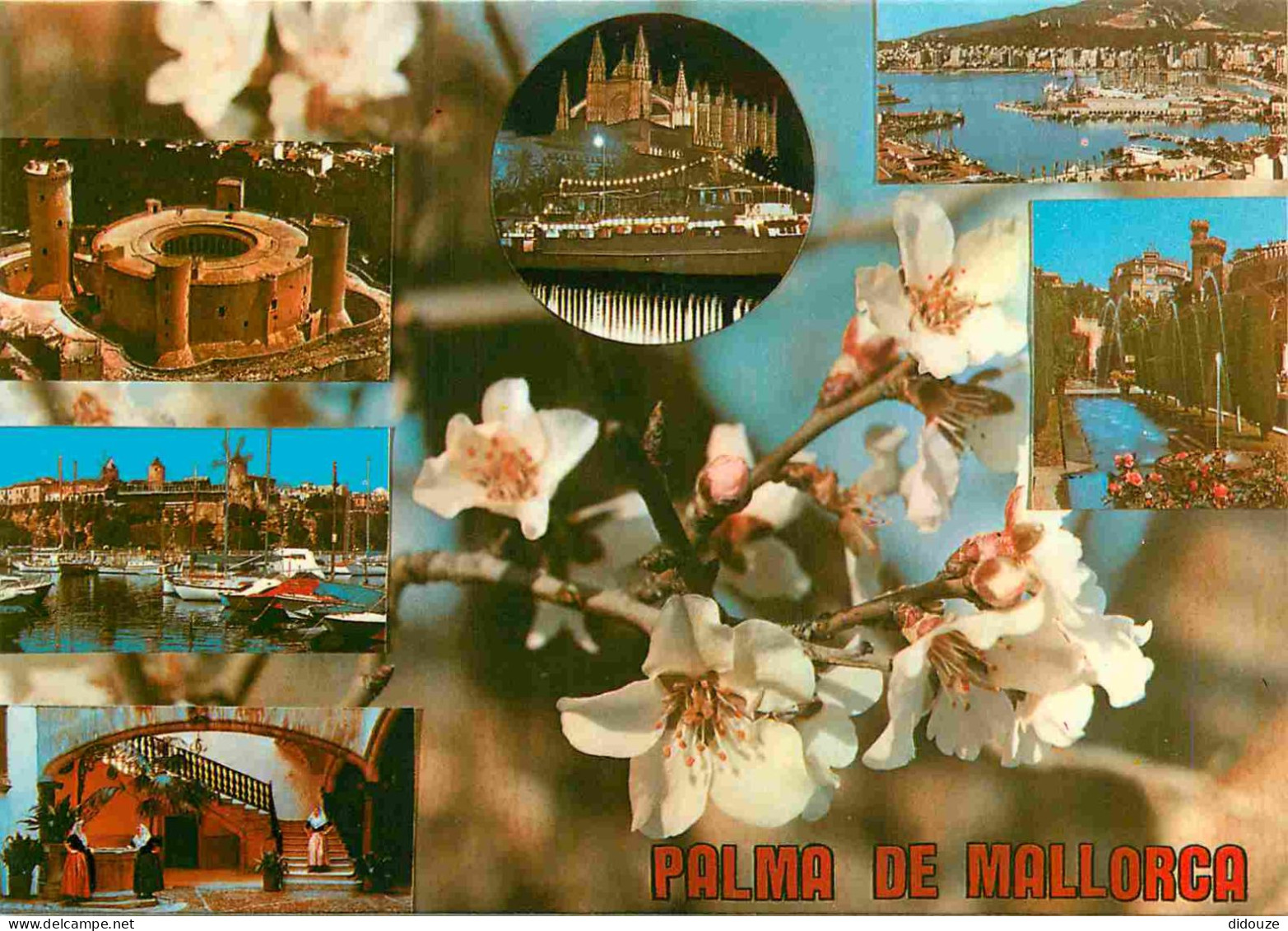 Espagne - Espana - Islas Baleares - Palma De Mallorca - Multivues - Fleurs - CPM - Voir Scans Recto-Verso - Palma De Mallorca