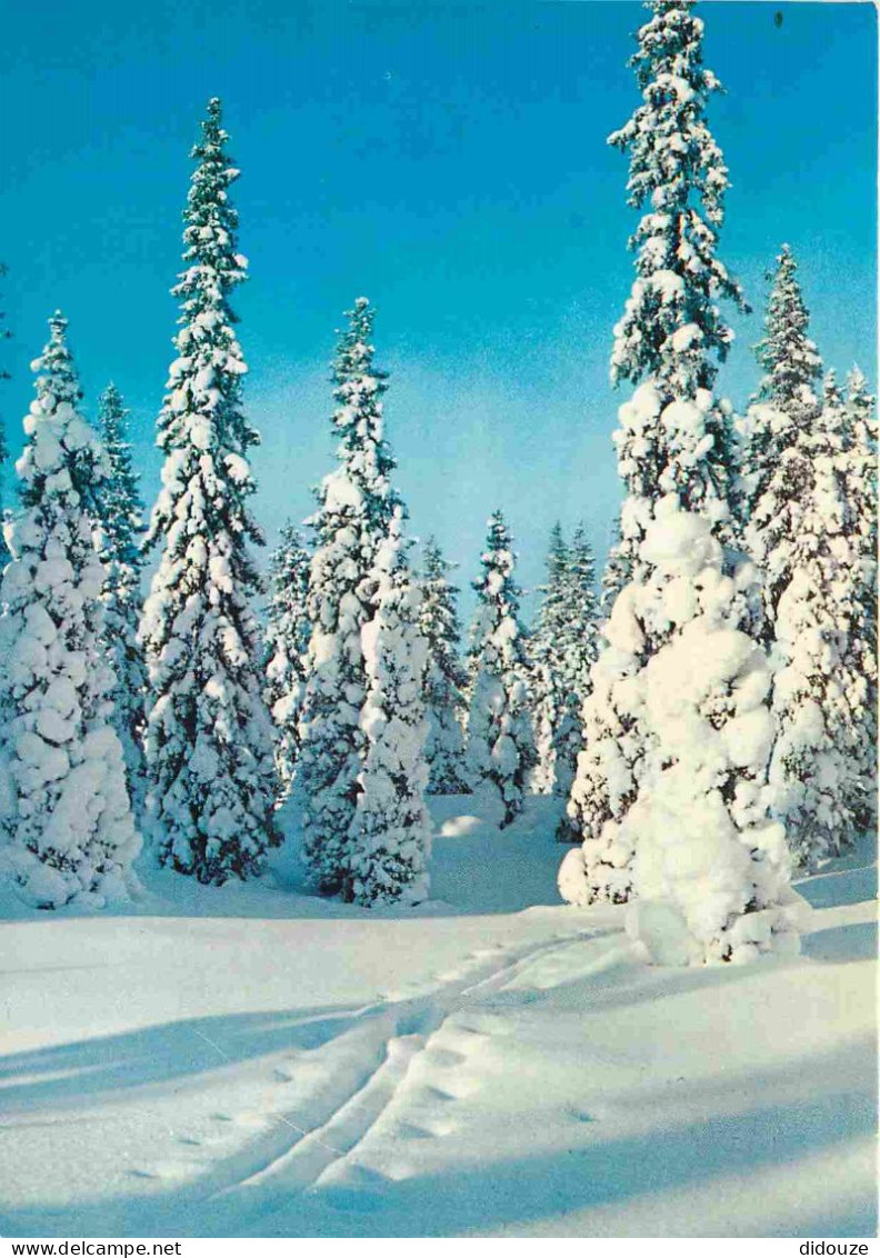 Finlande - Hiver Neige - Winter - Suomi - Finland - CPM - Voir Scans Recto-Verso - Finnland