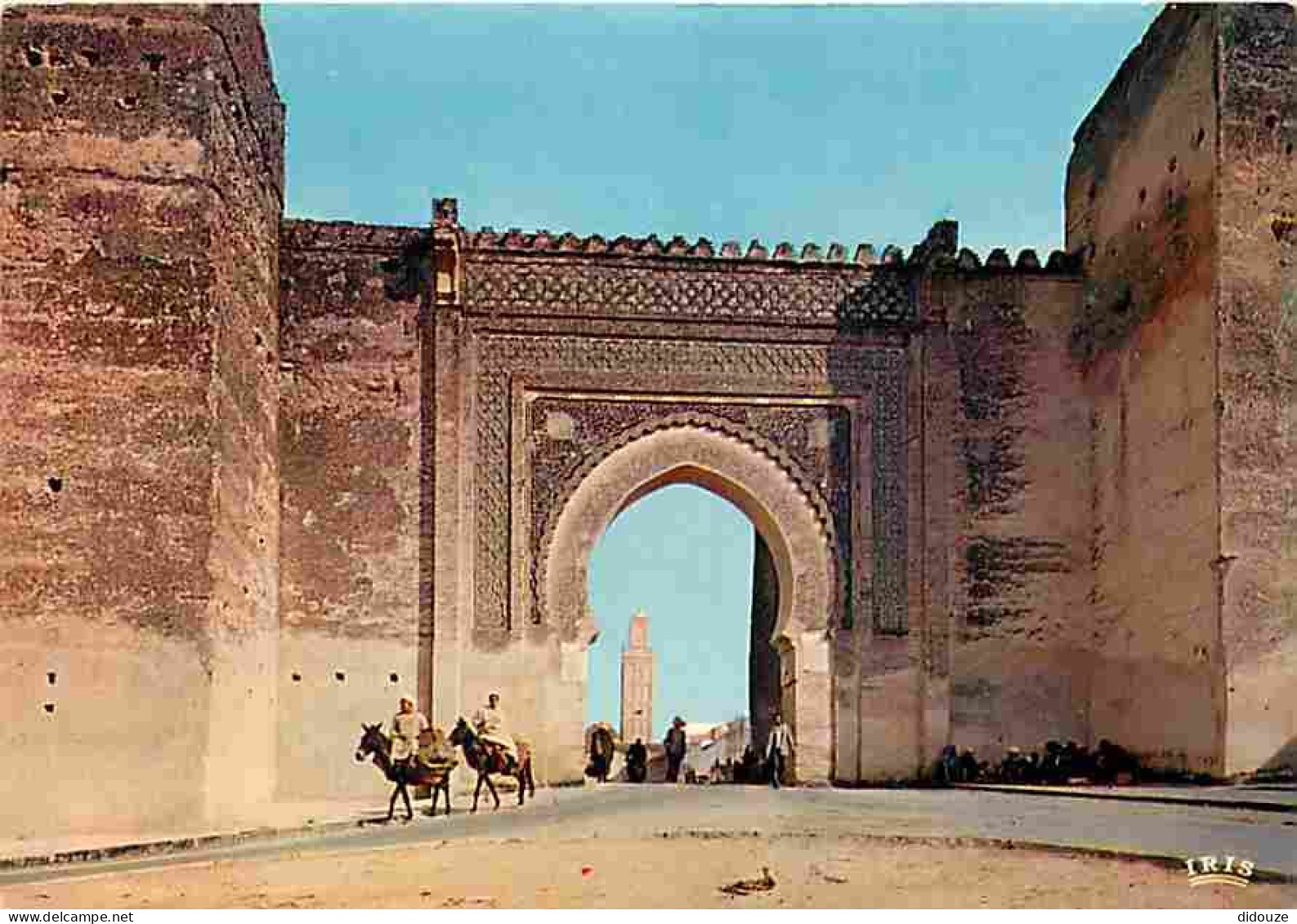 Maroc - Meknès - Bad Bardain - Anes - Carte Neuve - CPM - Voir Scans Recto-Verso - Meknès