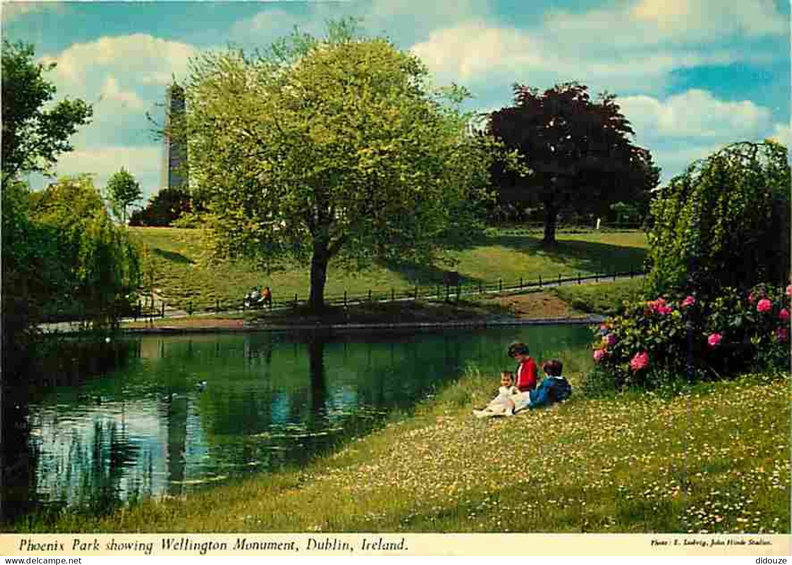 Irlande - Dublin - Phoenix Park Showing Wellington Monument - Fleurs - Ireland - CPM - Voir Scans Recto-Verso - Dublin