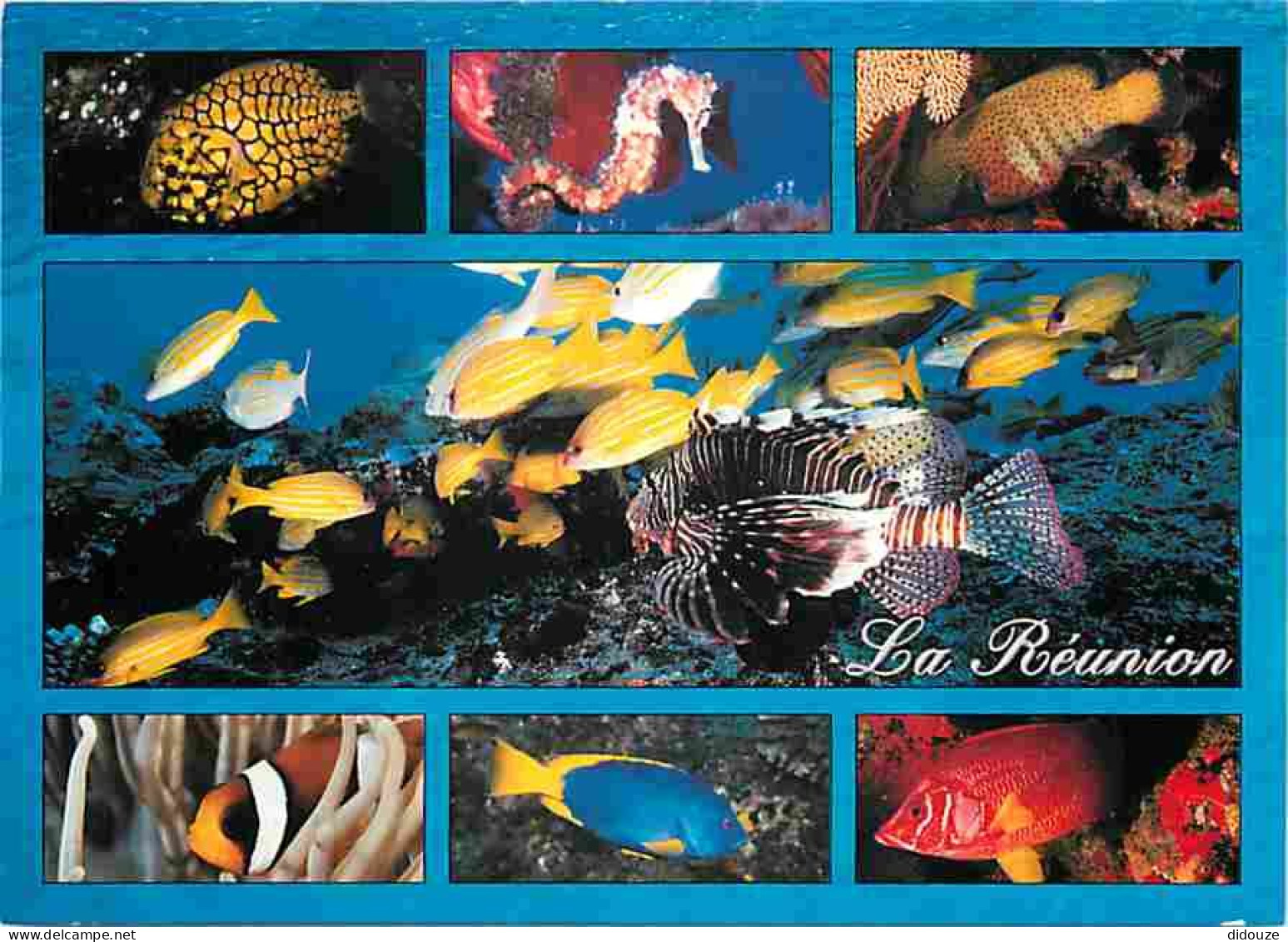 Ile De La Réunion - Fonds Sous-marin - Multivues - Poissons - CPM - Voir Scans Recto-Verso - Otros & Sin Clasificación