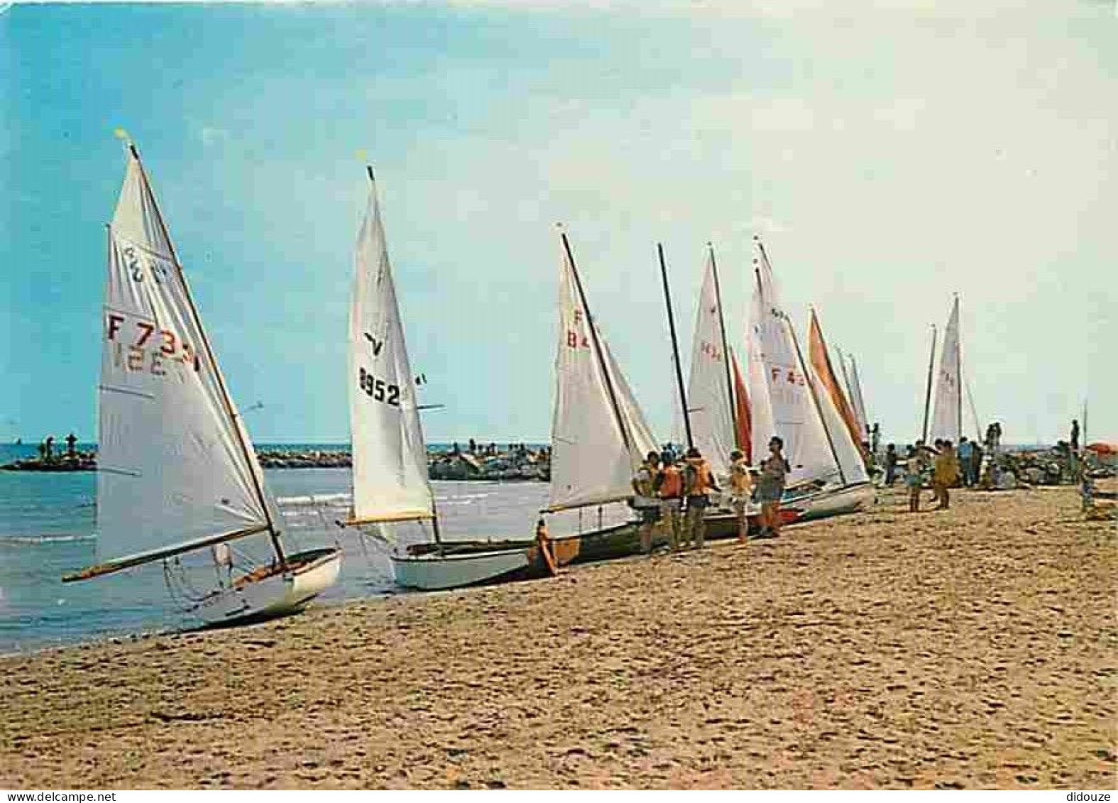 34 - Frontignan - Cours De Voiles Et Préparatifs Pour Le Départ En Mer - CPM - Voir Scans Recto-Verso - Frontignan