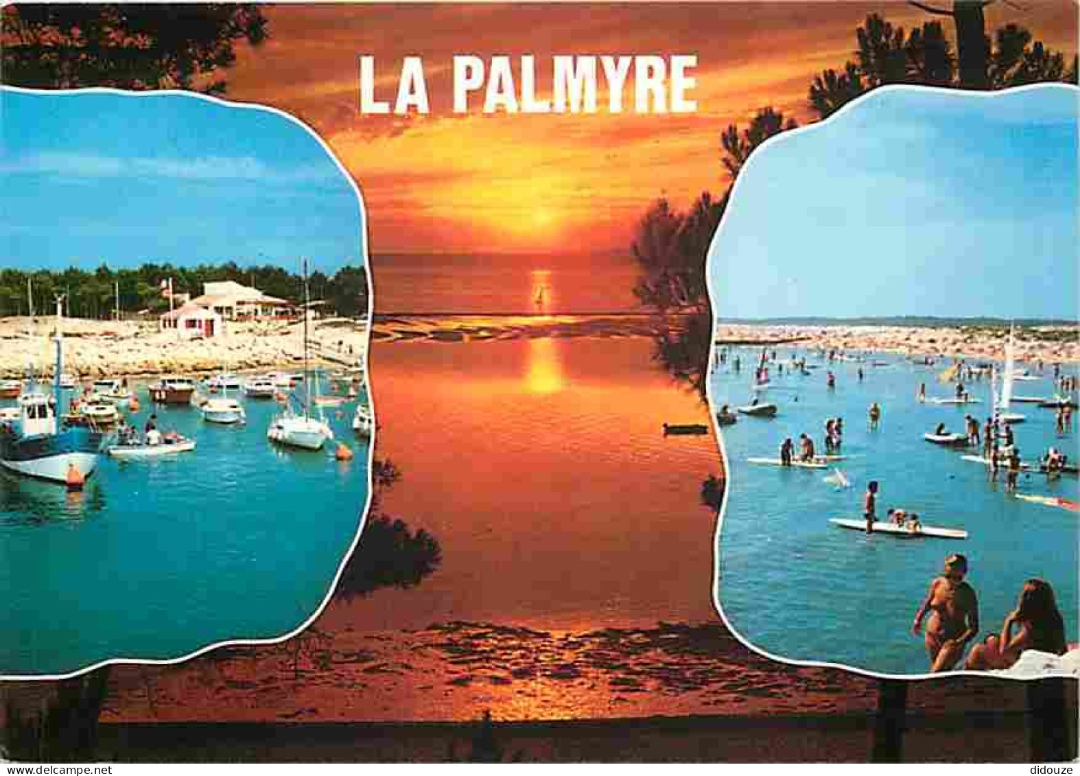 17 - La Palmyre - Multivues - Petit Train Touristique - Flamants Roses - Fleurs - CPM - Voir Scans Recto-Verso - Les Mathes
