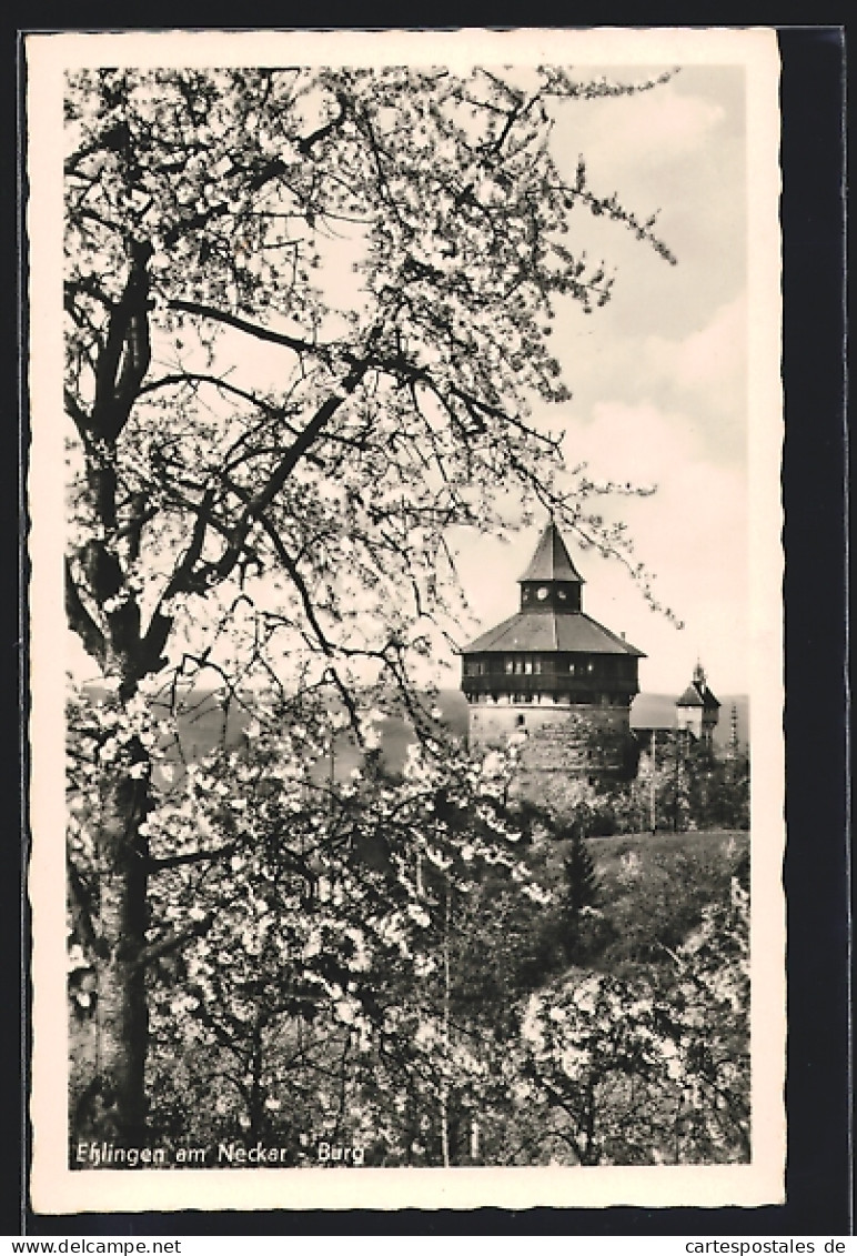 AK Esslingen Am Neckar, Die Burg Im Frühling  - Esslingen