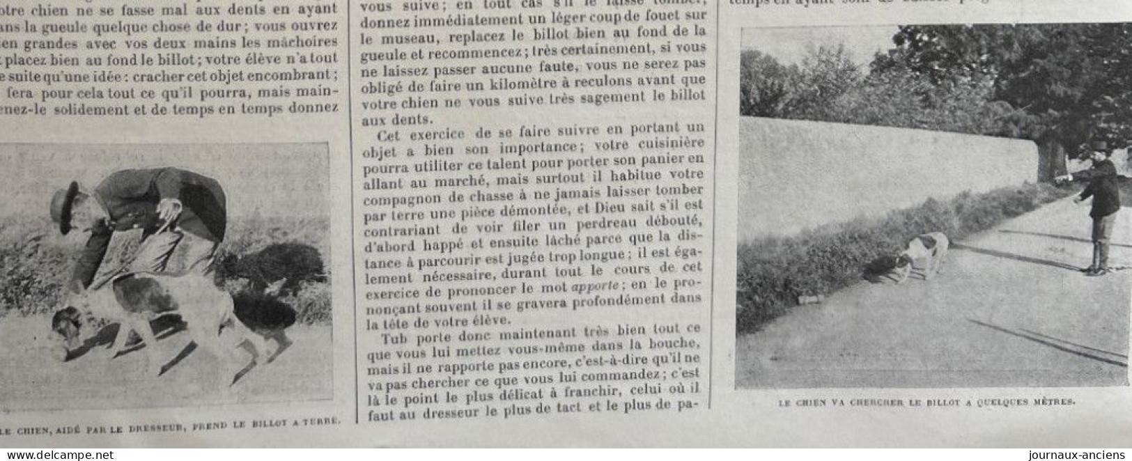 1898 CHASSE - LE DRESSAGE D'UN CHIEN DE CHASSE - LA VIE AU GRAND AIR - 1900 - 1949